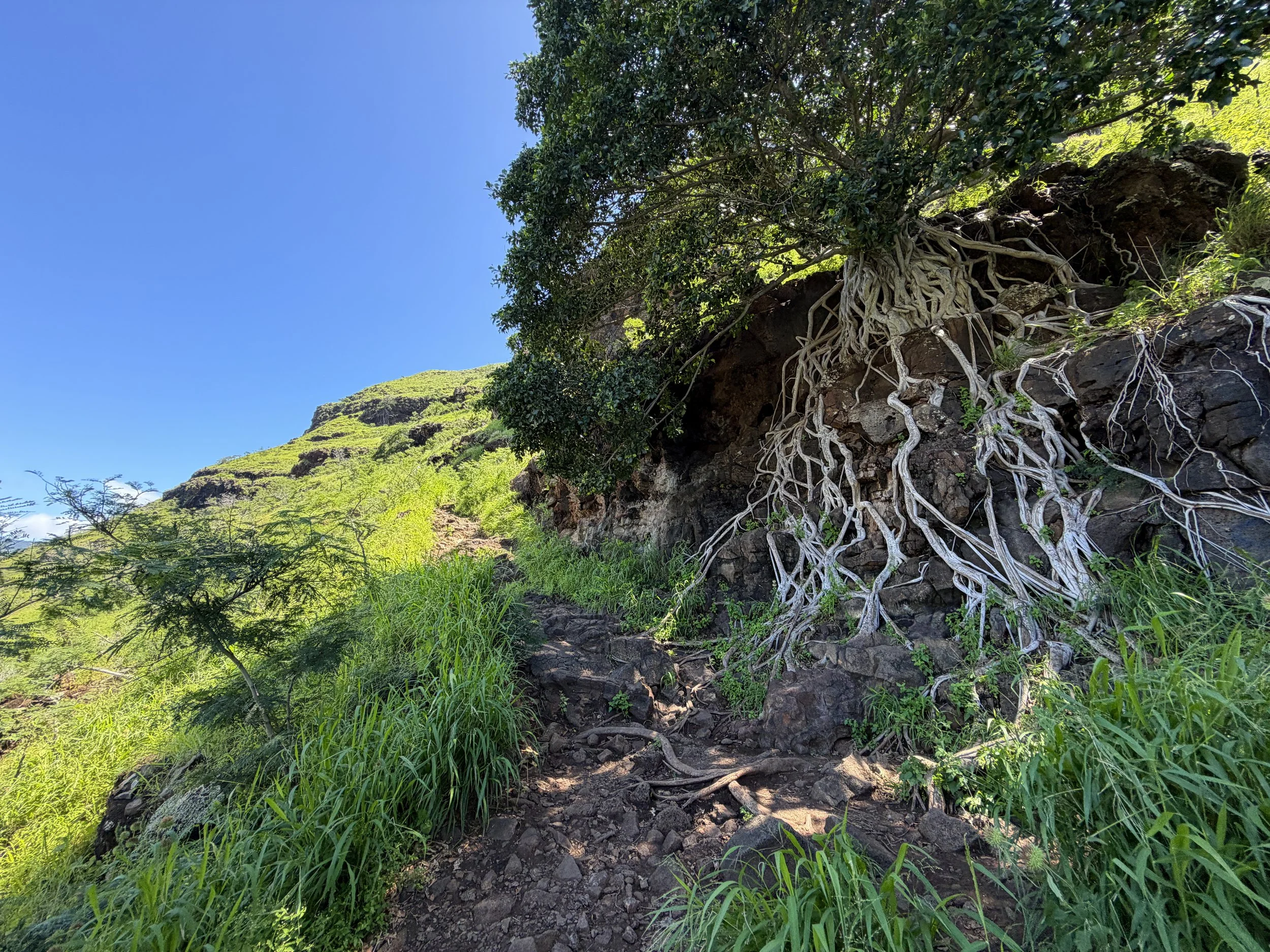 Puu O Hulu Hike Oahu Hawaii