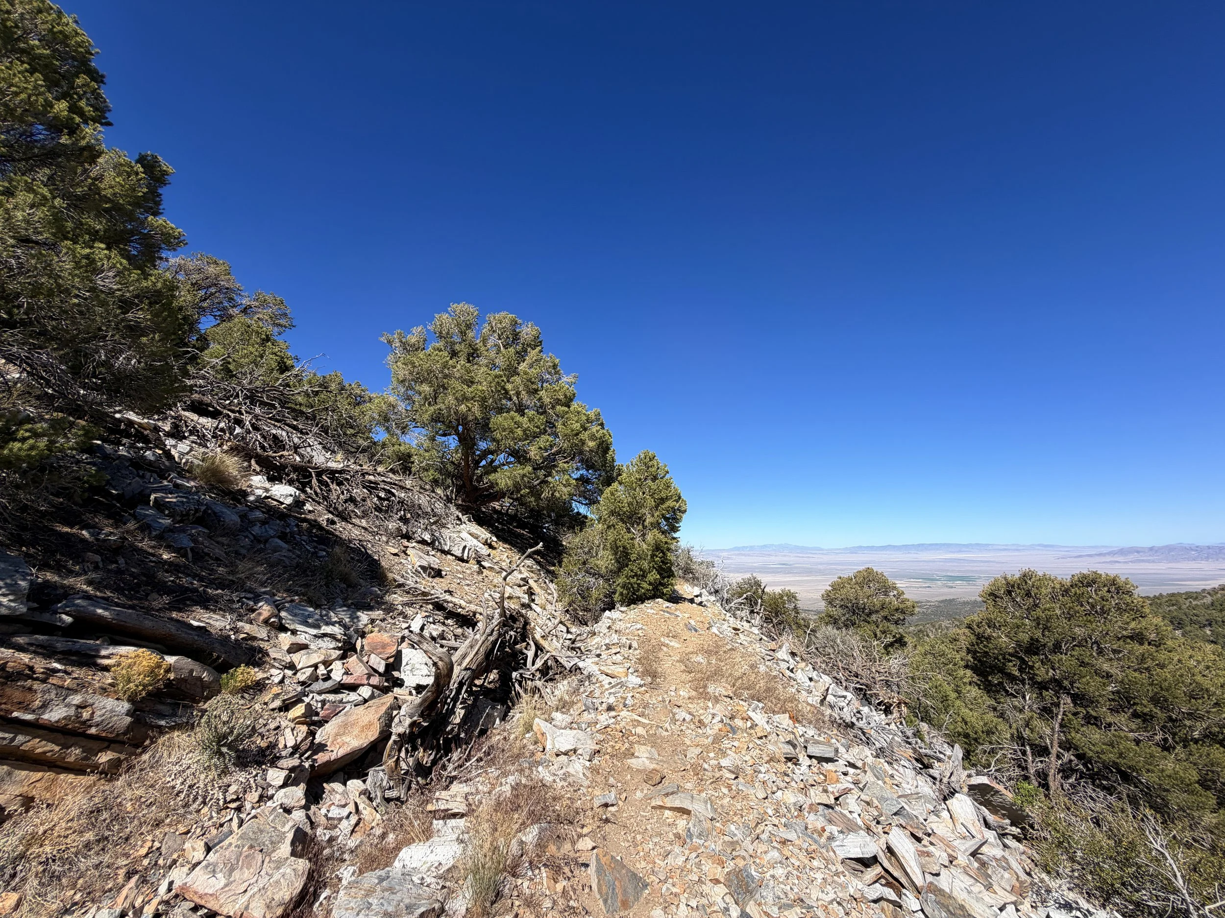 Osceola Ditch Hike Great Basin National Park Nevada