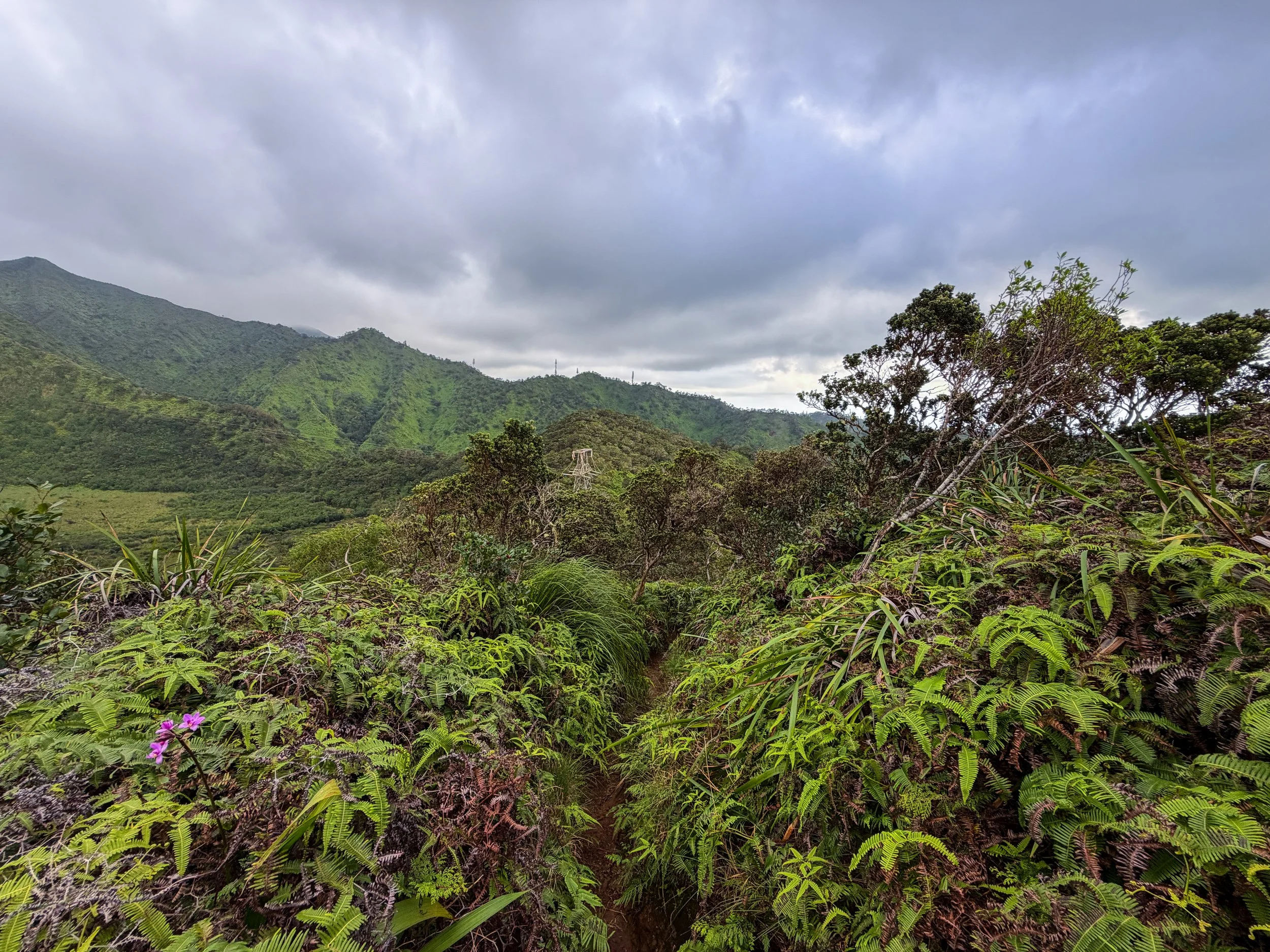 Kaau Crater Trail Oahu Hawaii