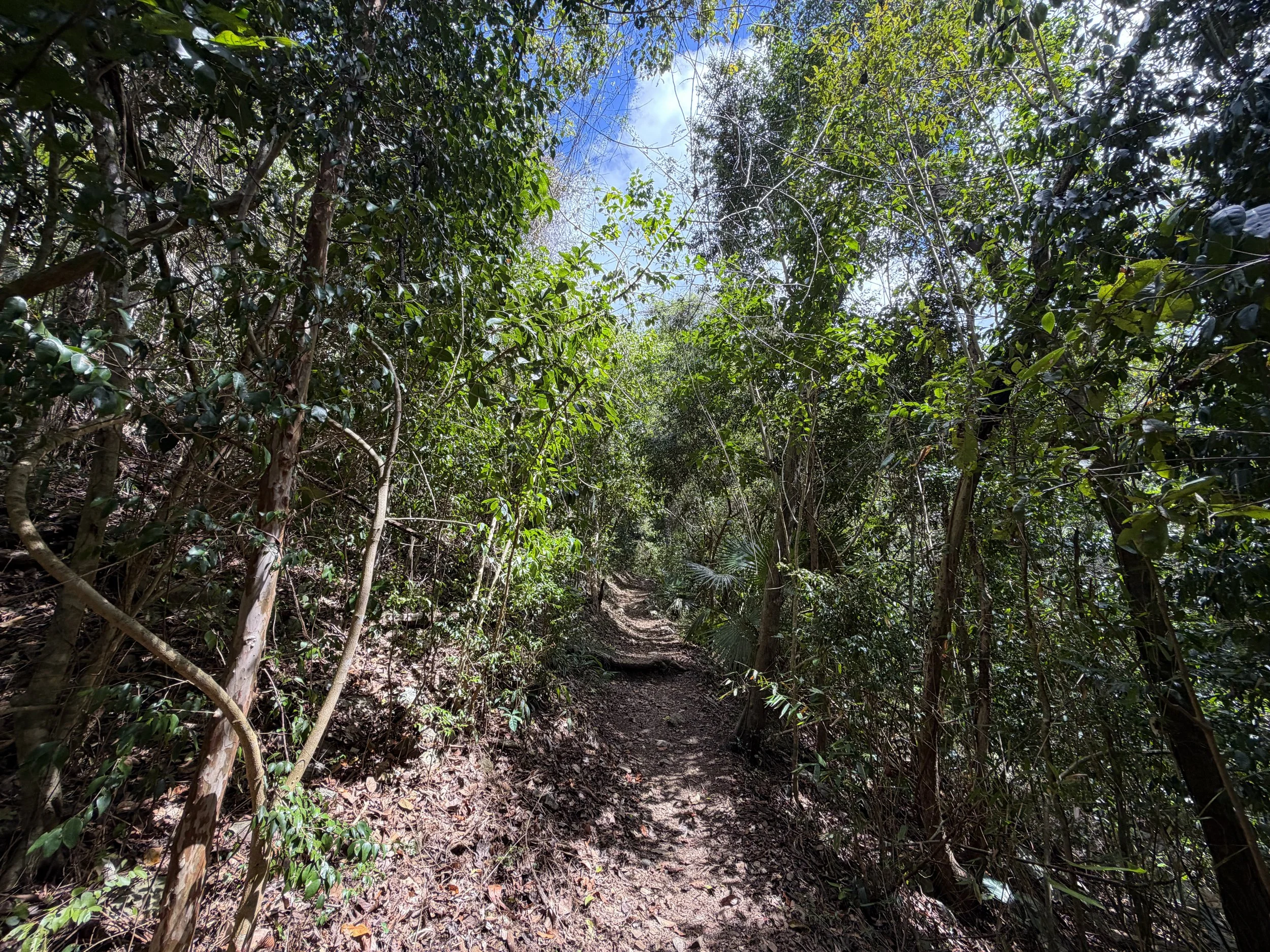 Cinnamon Bay Hike Virgin Islands National Park