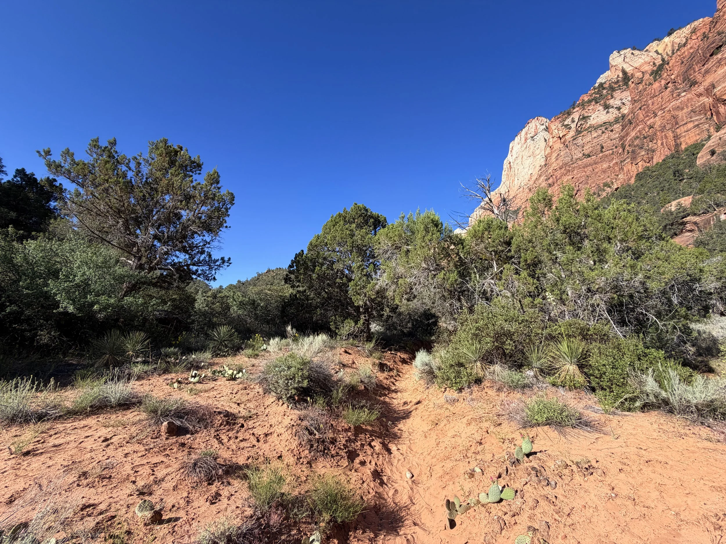 Sand Bench Loop Trail Zion National Park Utah