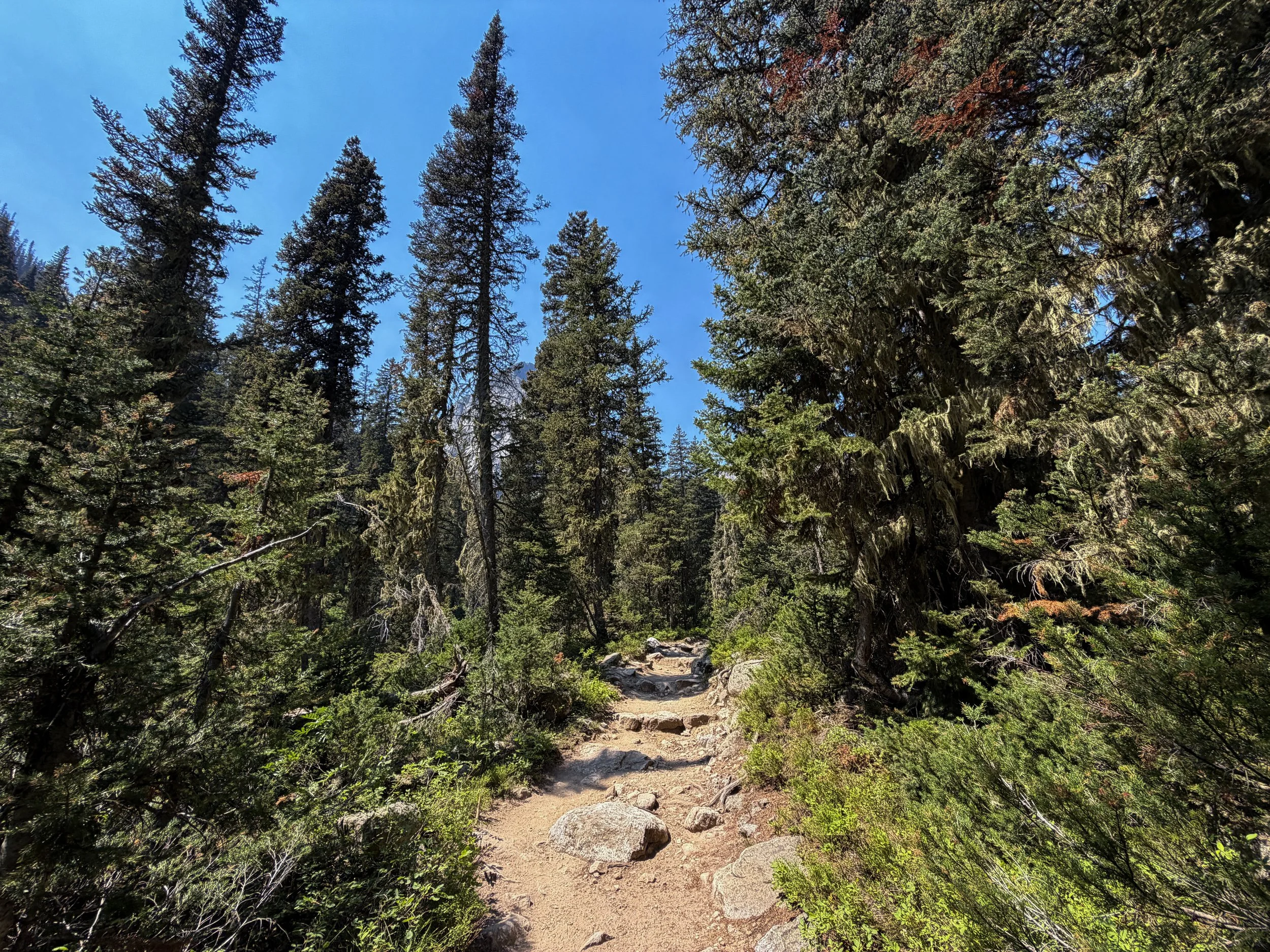 Cascade Canyon Trail Grand Teton National Park Wyoming