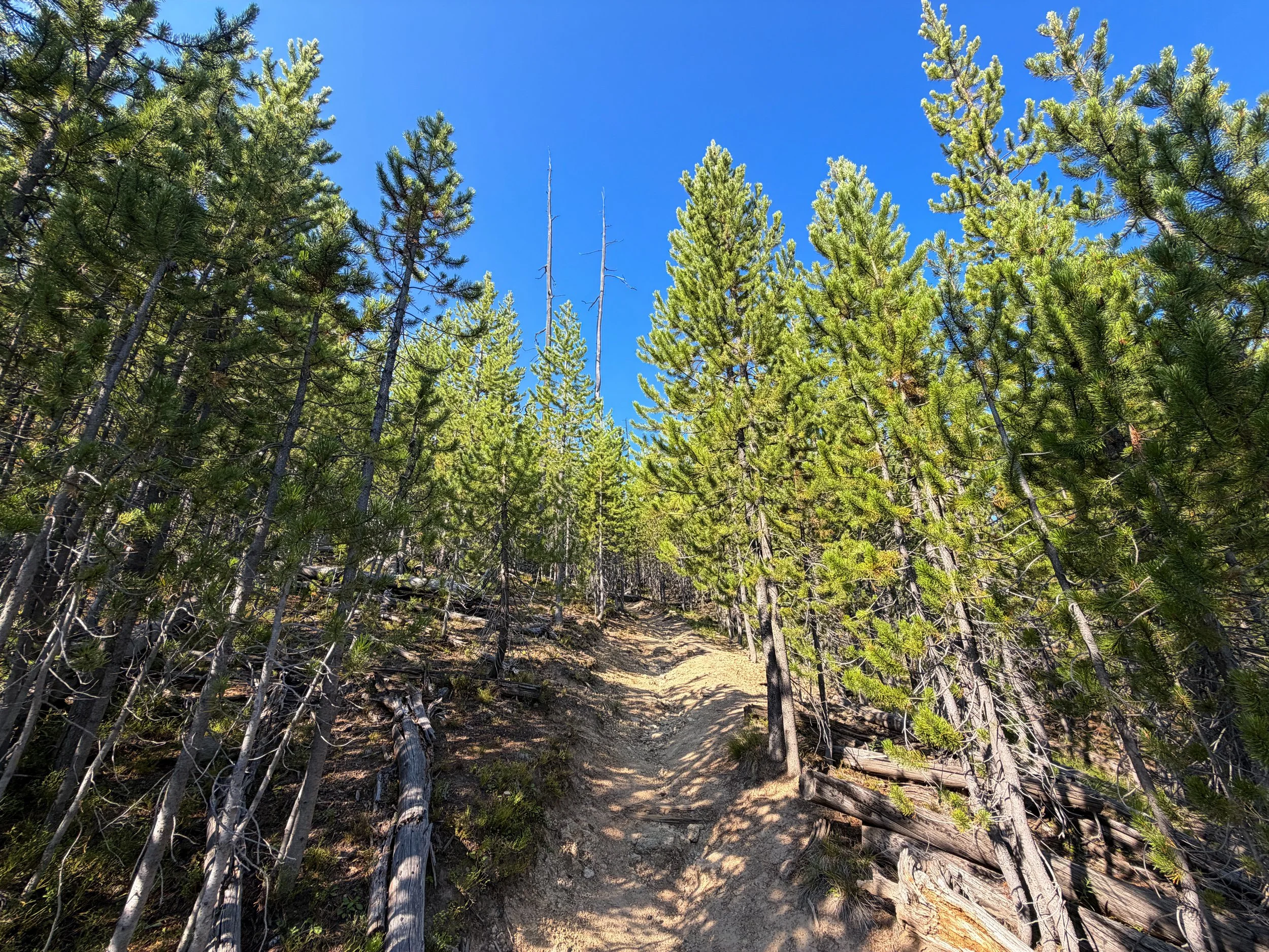 Monument Geyser Basin Trail Yellowstone National Park Wyoming