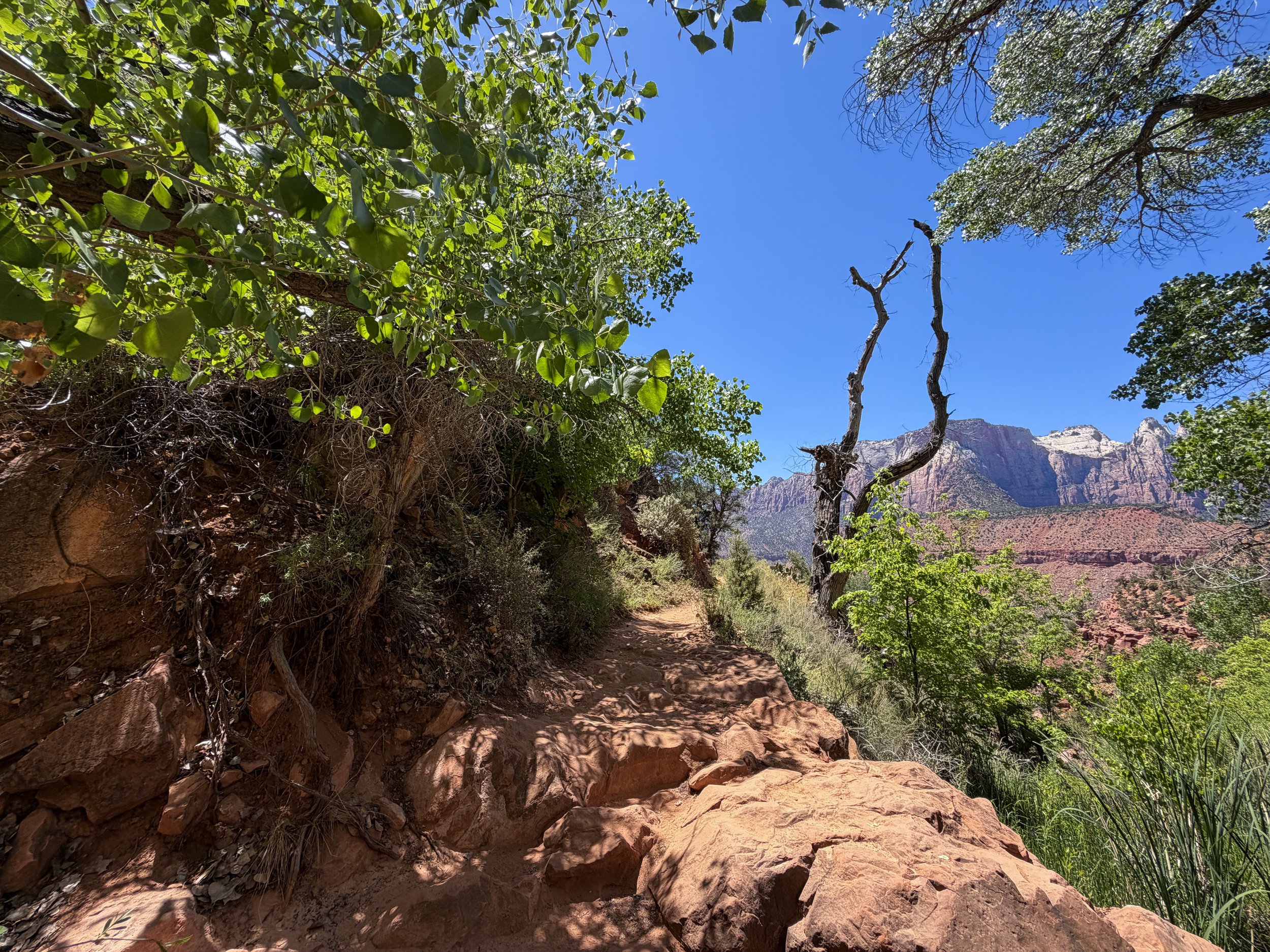 Watchman Trail Zion National Park Utah