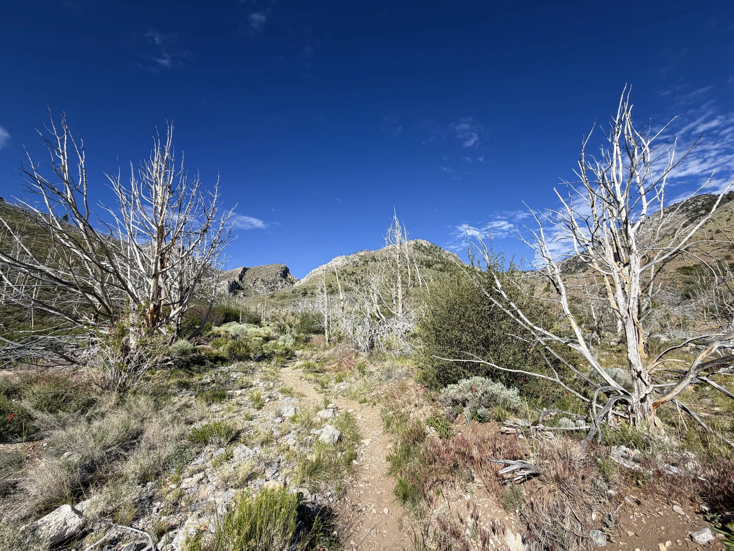 Lexington Arch Hike Great Basin National Park Nevada