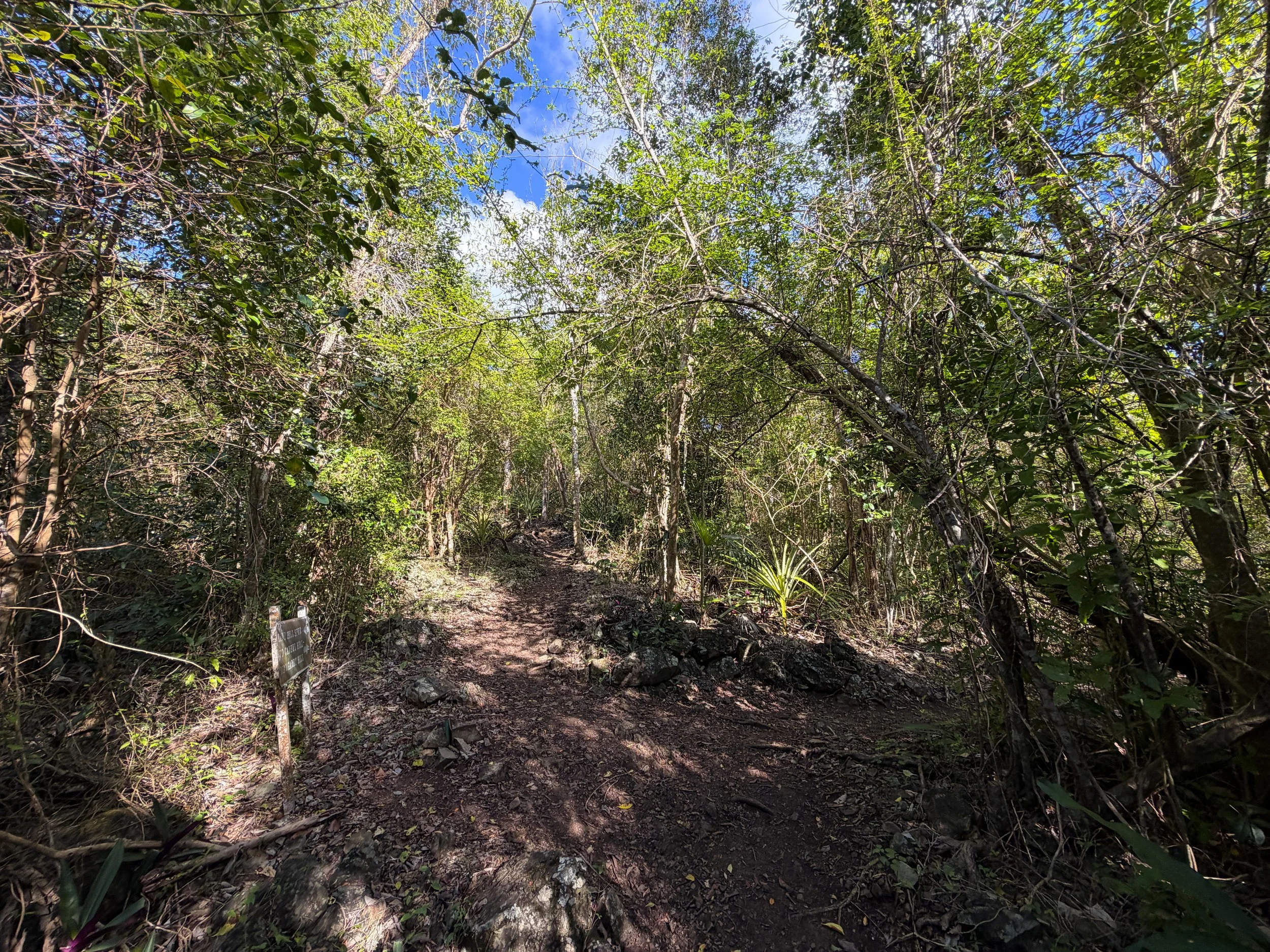 Caneel Hill Spur Trail Virgin Islands National Park