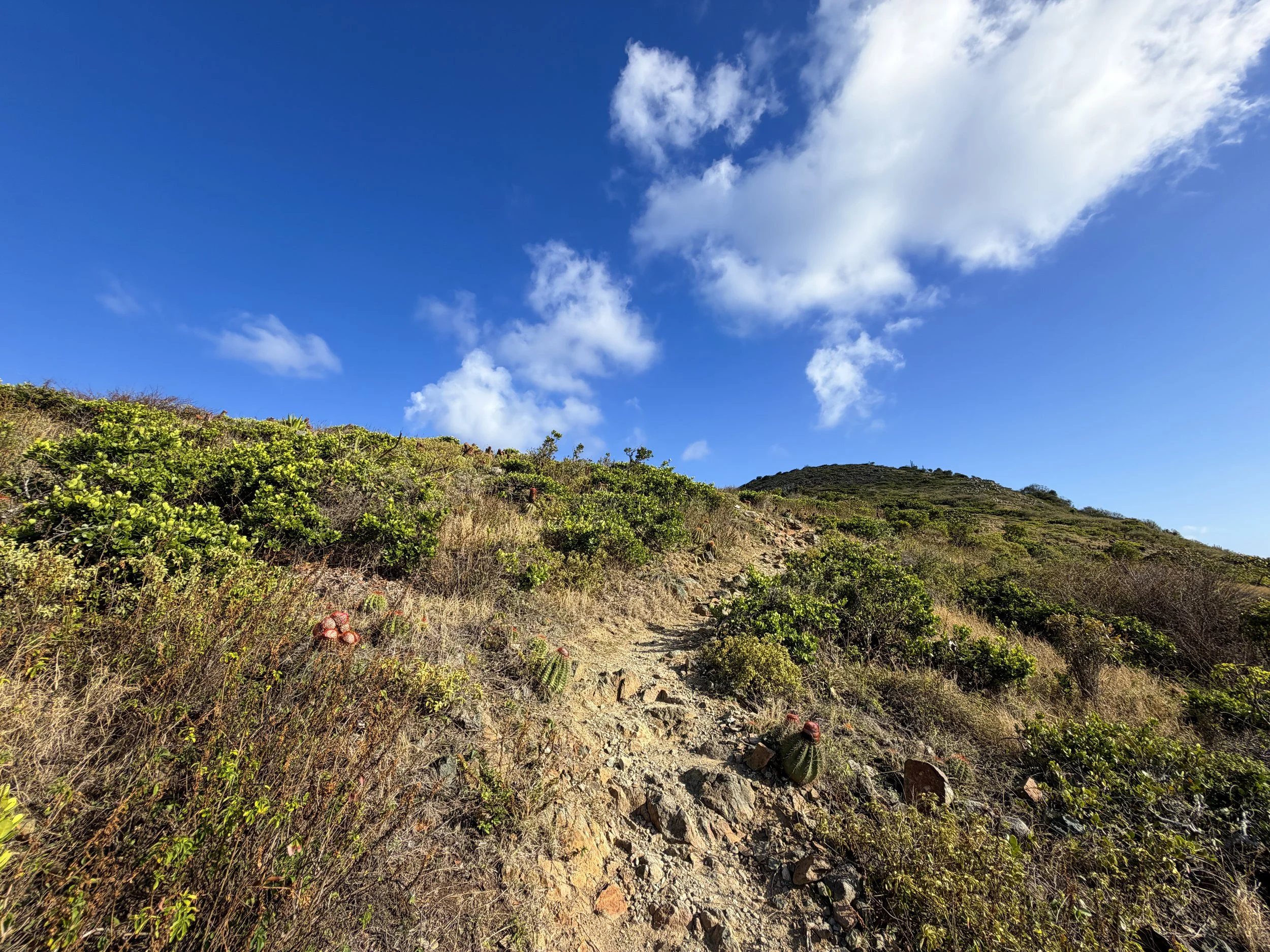 Ram Head Trail Virgin Islands National Park