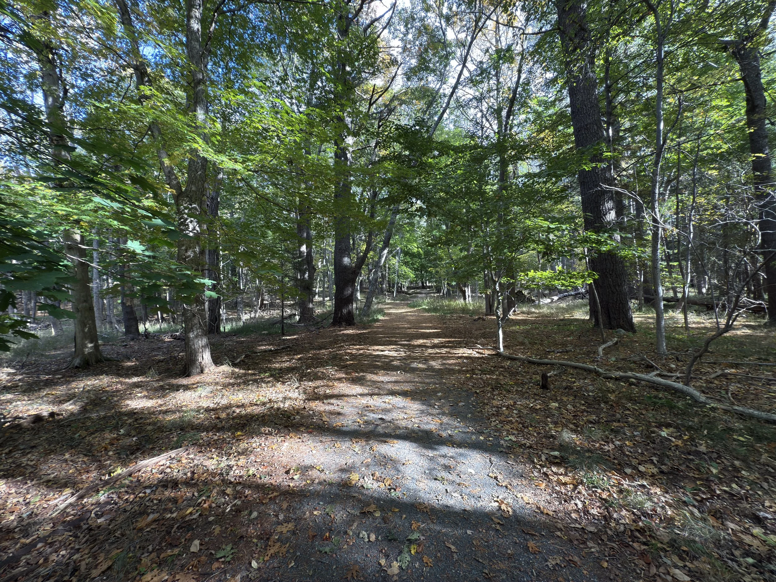 Hiking the Compass Harbor Trail in Acadia National Park — noahawaii