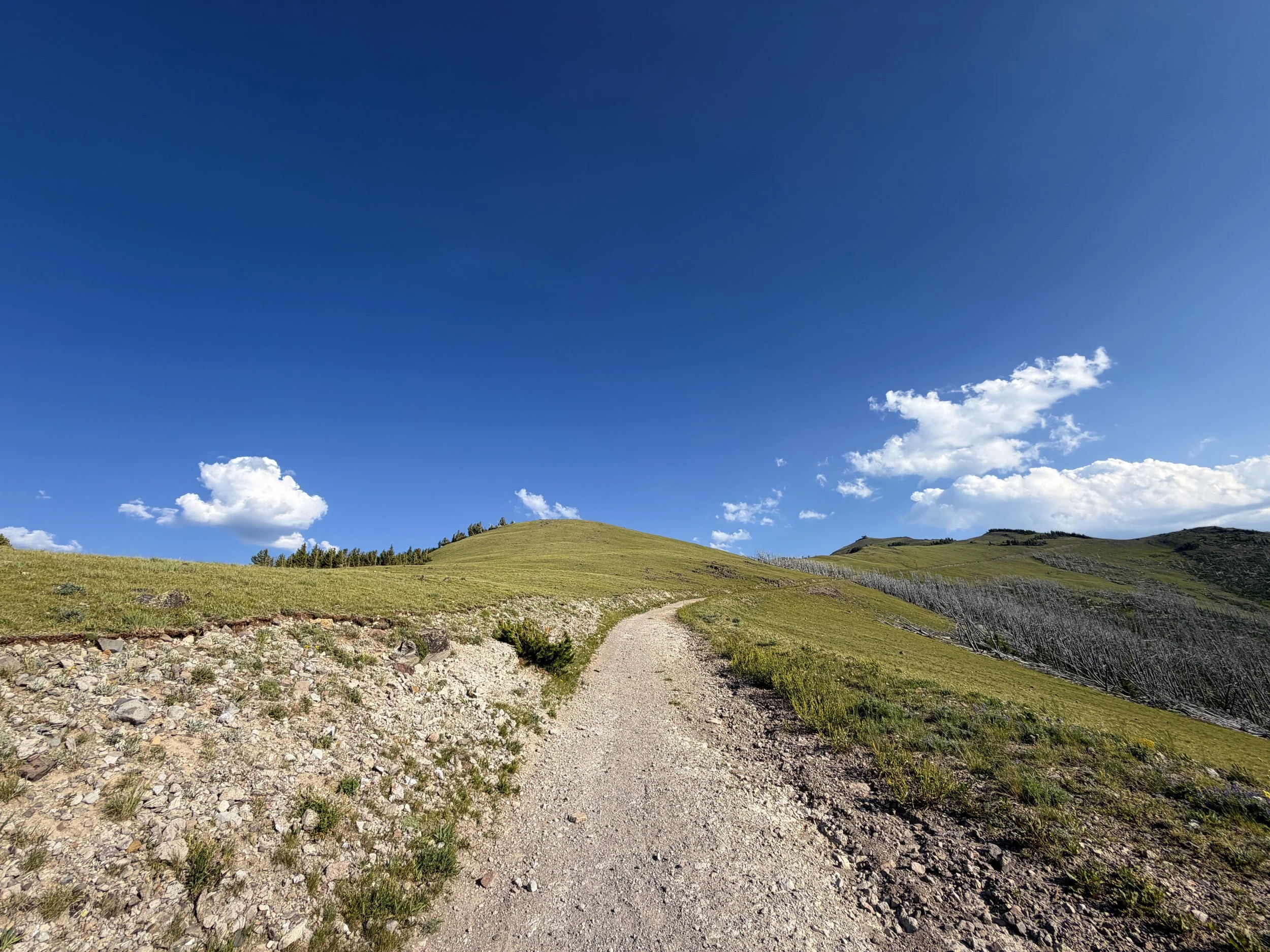 Mt. Washburn Trail via Chittenden Road Yellowstone National Park Wyoming