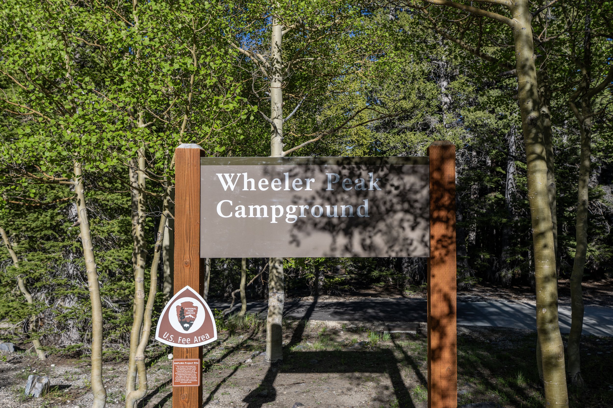 Wheeler Peak Campground Great Basin National Park