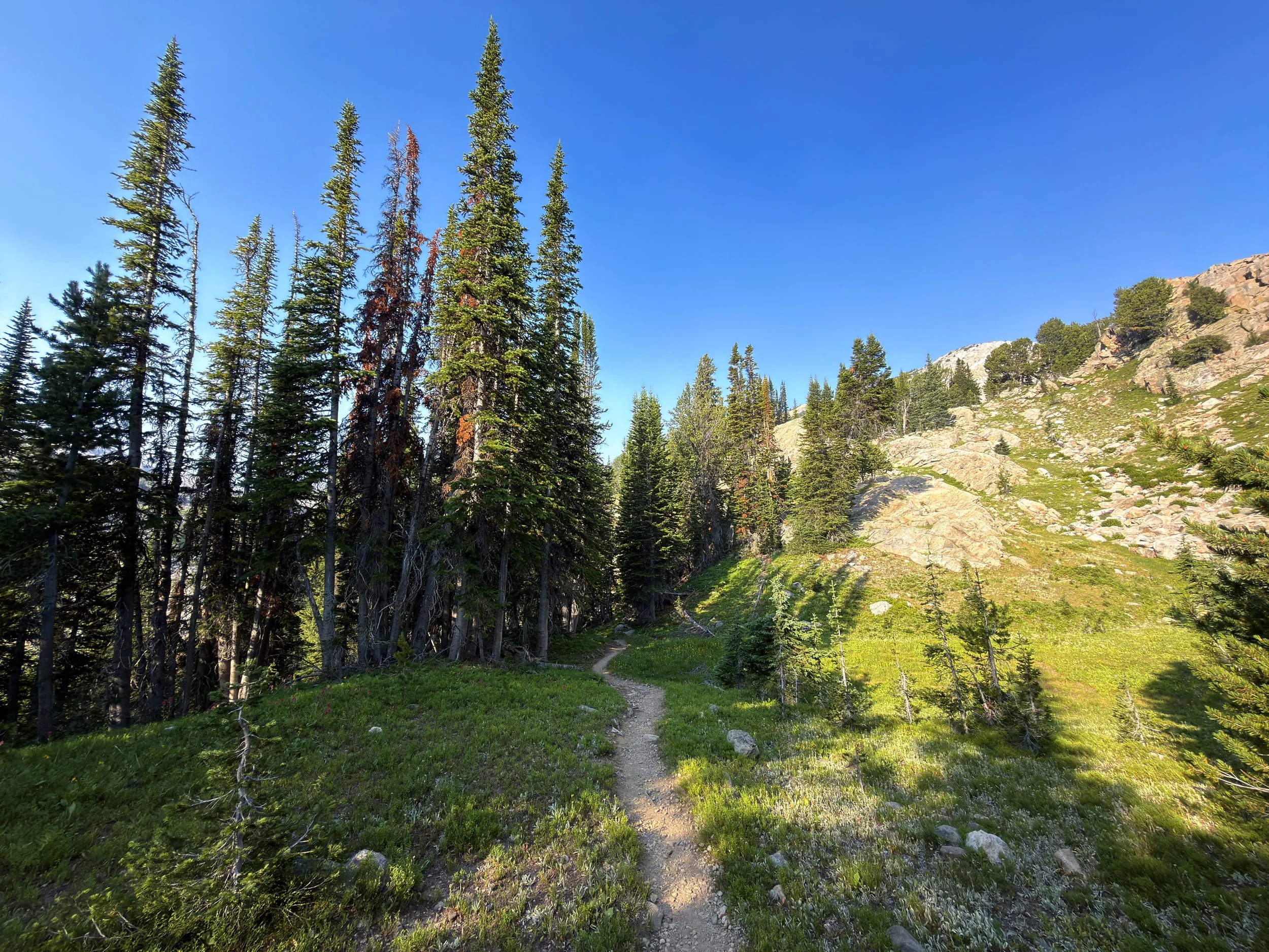 Beaten Path Hike Beartooth Mountains Montana