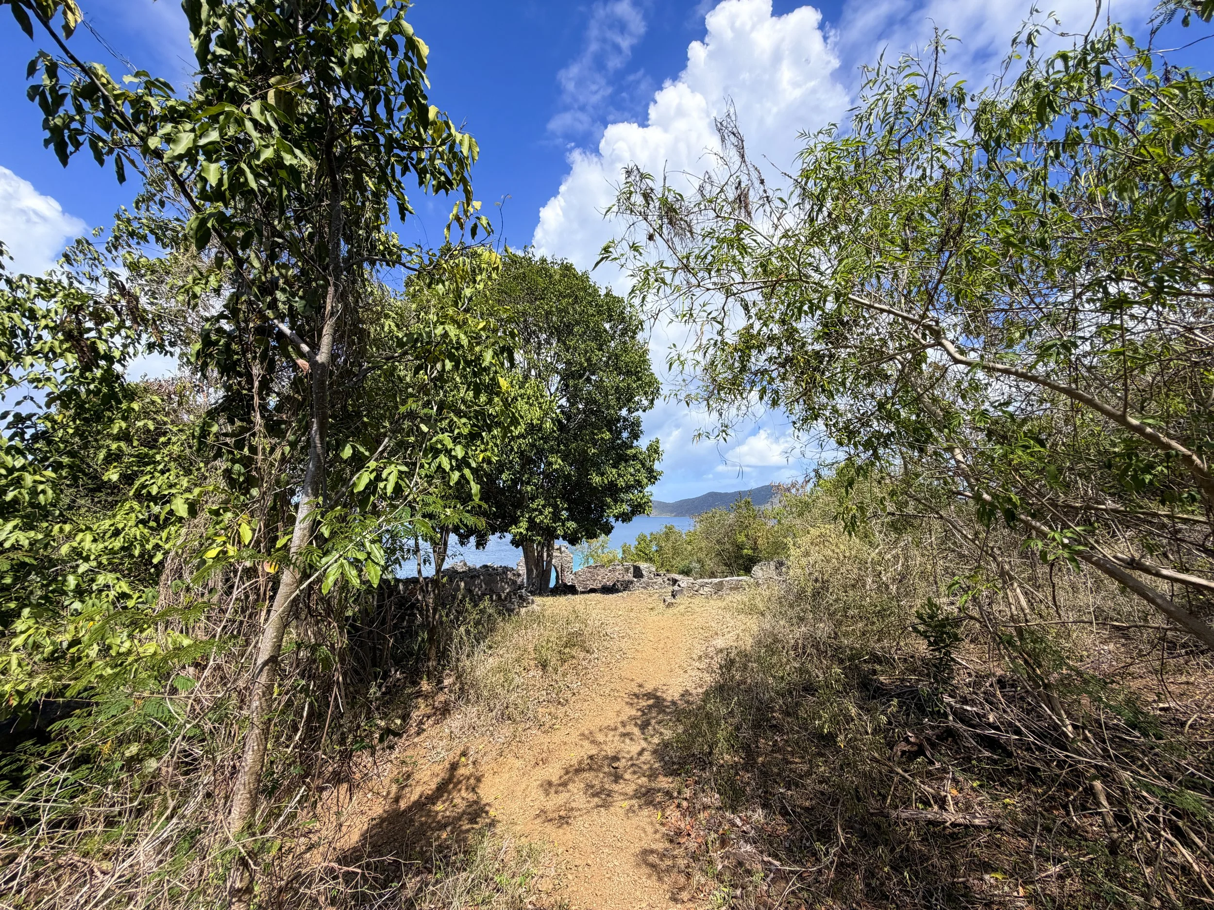 Danish Guard House Ruins Johnny Horn Trail Virgin Islands National Park