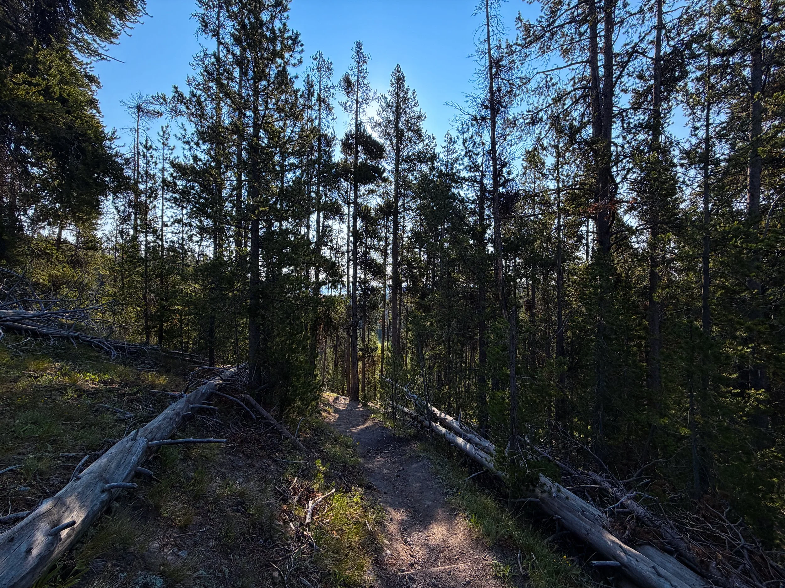 Natural Bridge Trail Yellowstone National Park Wyoming