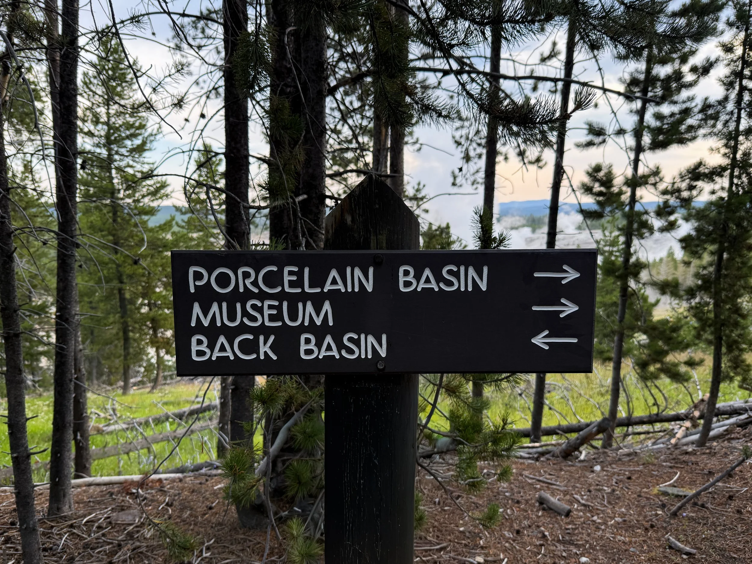 Porcelain Basin Norris Geyser Basin Trail Yellowstone National Park Wyoming