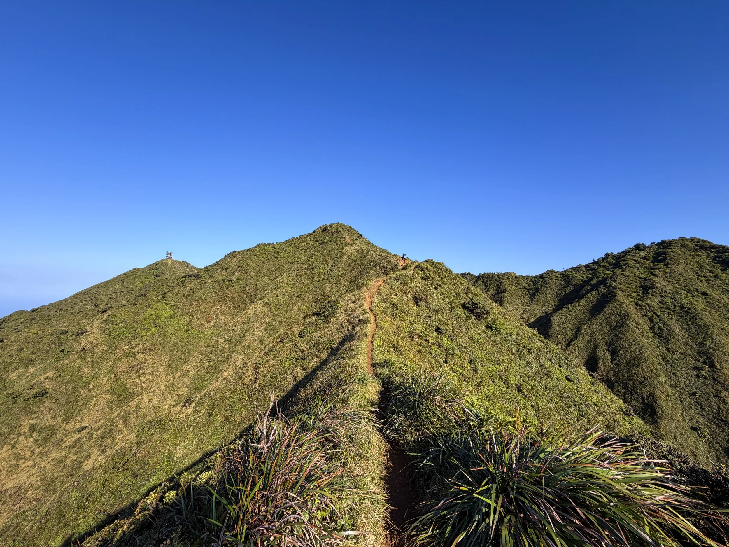 Moanalua Middle Ridge Trail to Stairway to Heaven Oahu Hawaii