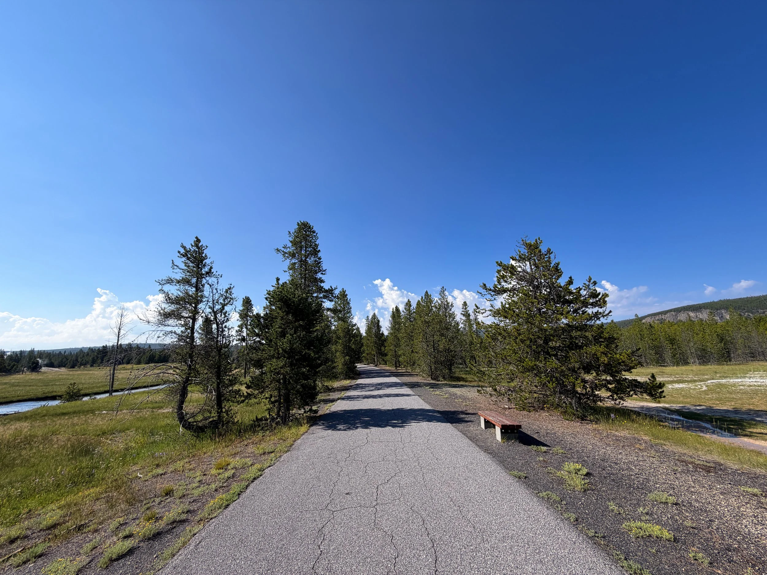 Upper Geyser Basin Trail Yellowstone National Park Wyoming