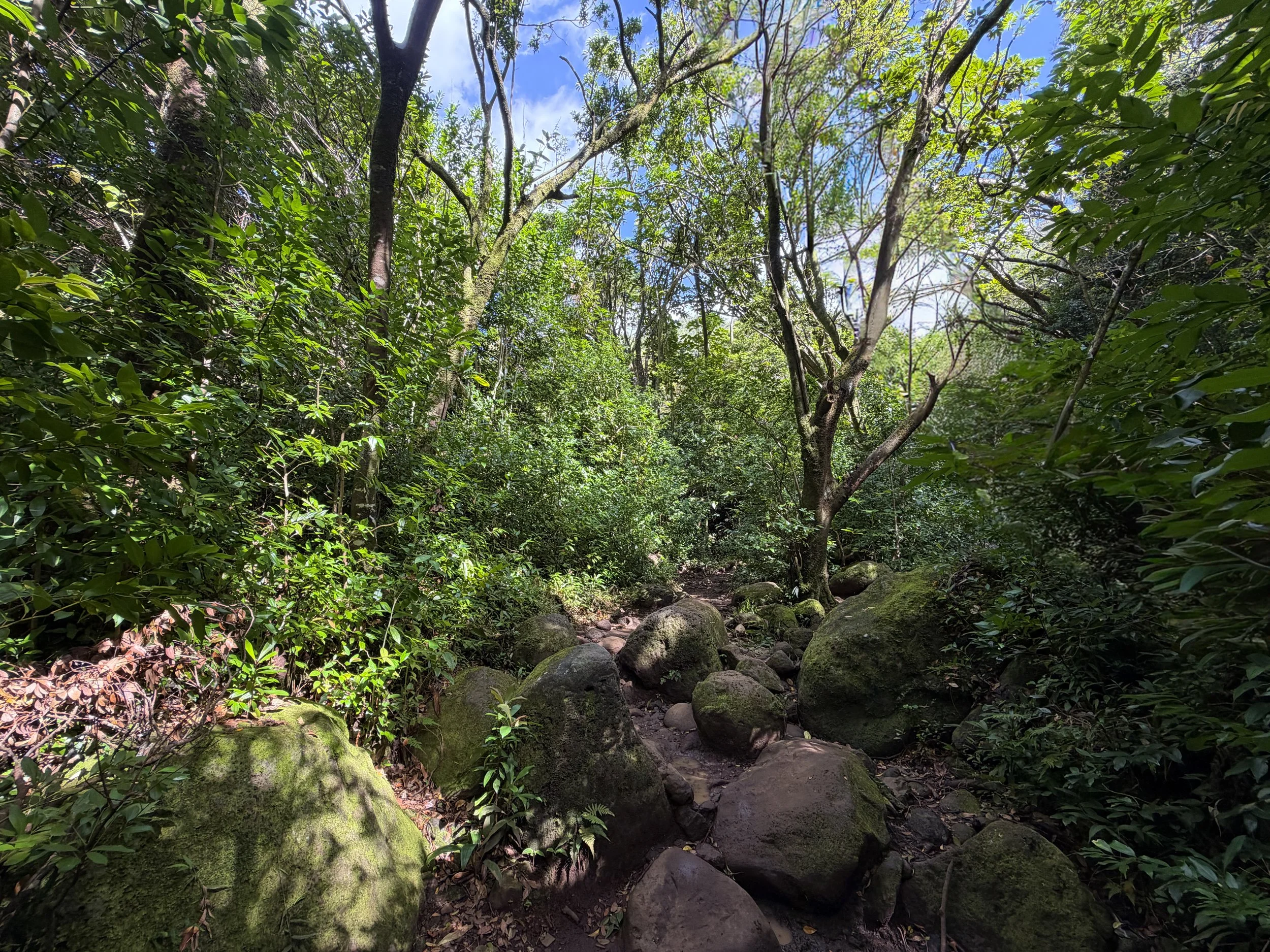 Lulumahu Falls Trail Oahu Hawaii