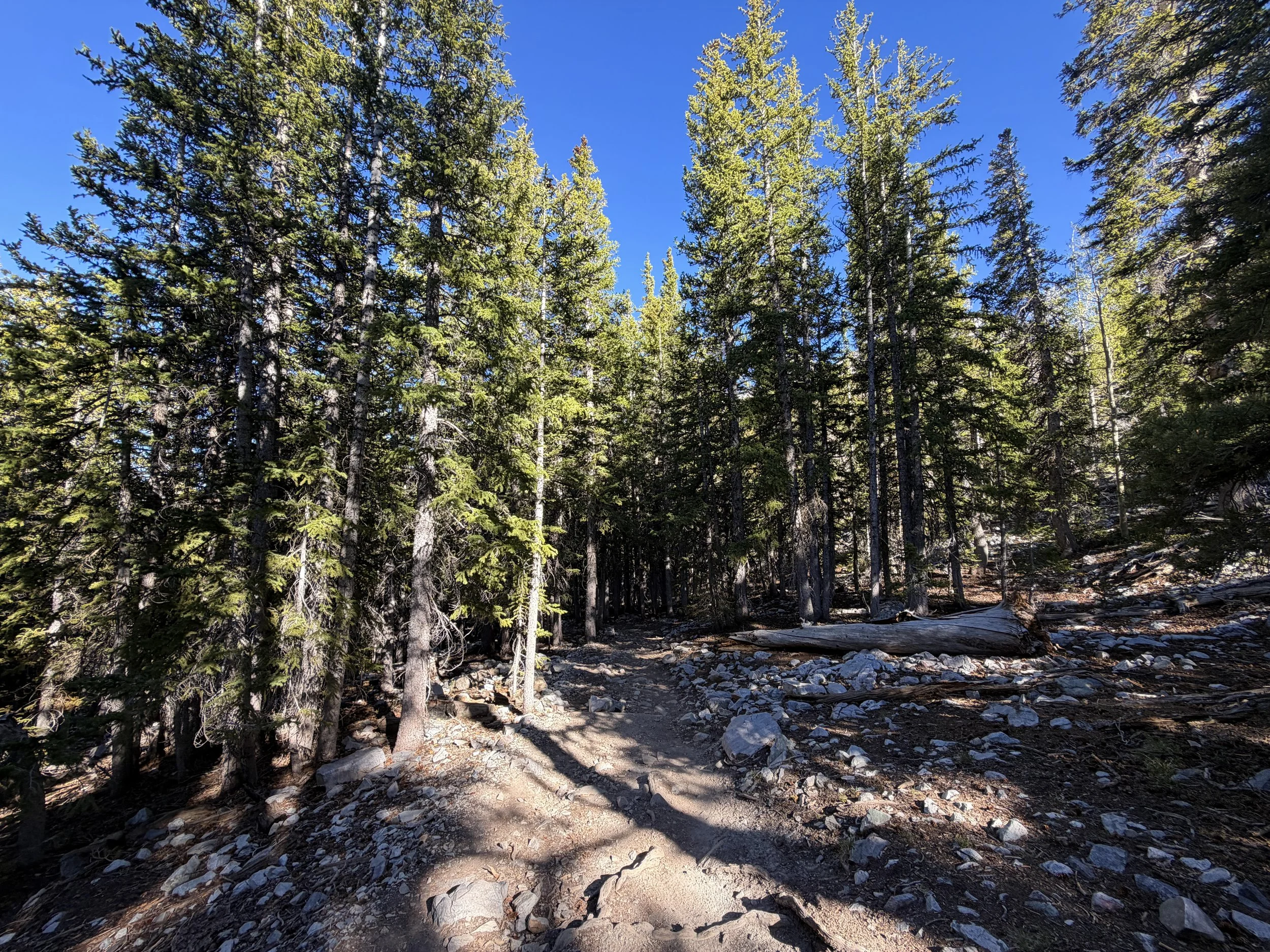 Alpine Lakes Loop Trail Great Basin National Park Nevada