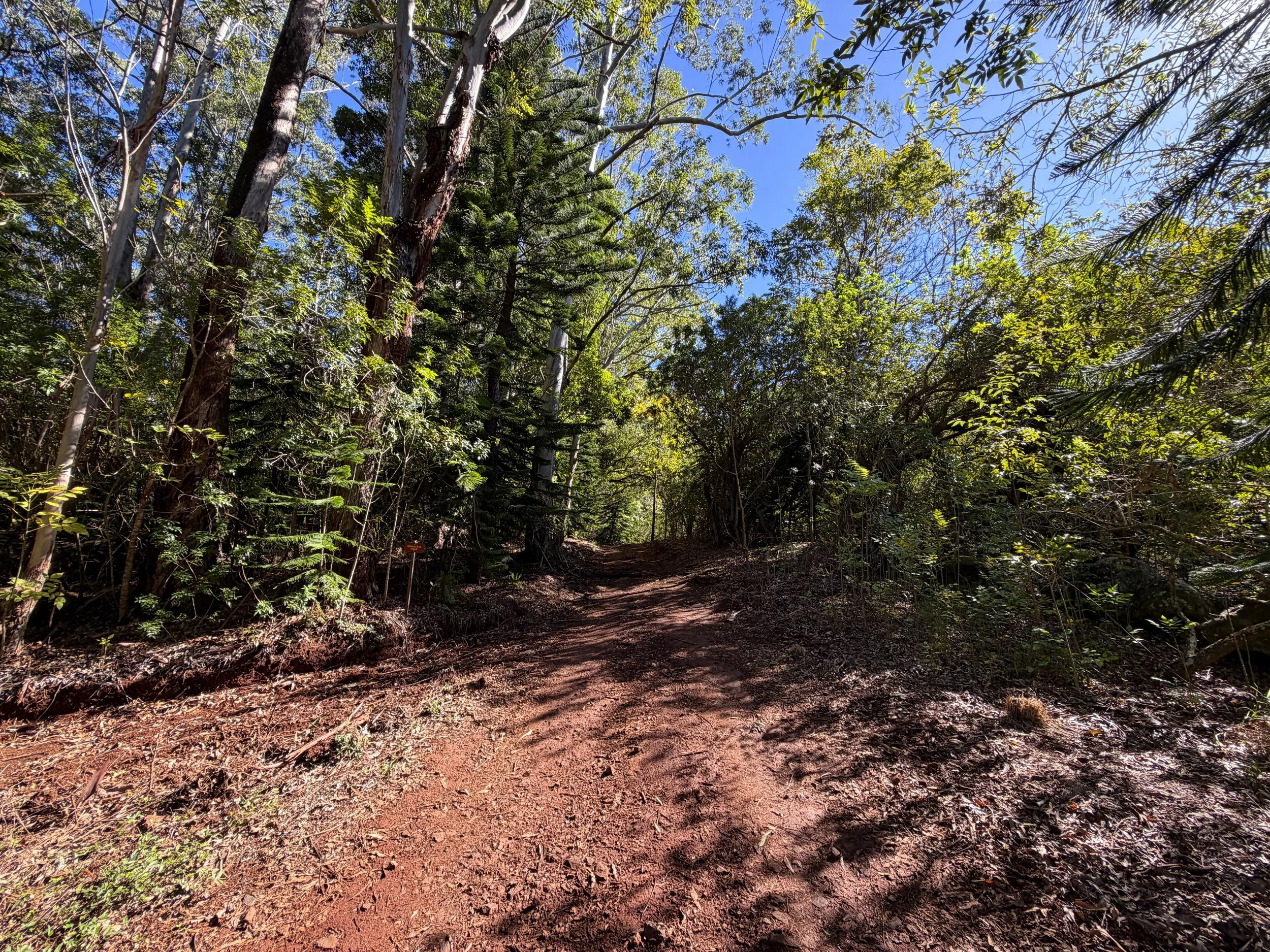 Peacock Flats Campground to Mokuleia Trail Oahu Hawaii