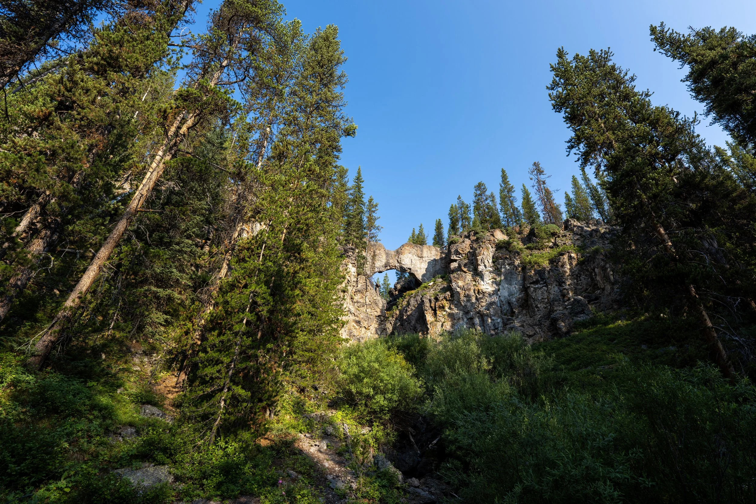 Natural Bridge Trail Yellowstone National Park Wyoming