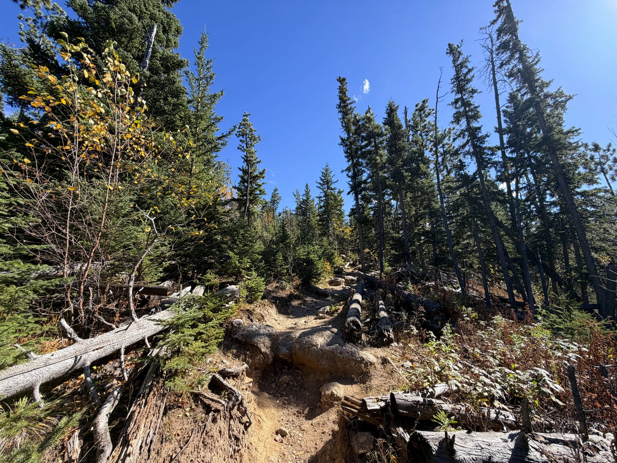 Black Elk Peak Trail via Custer State Park Black Hills South Dakota