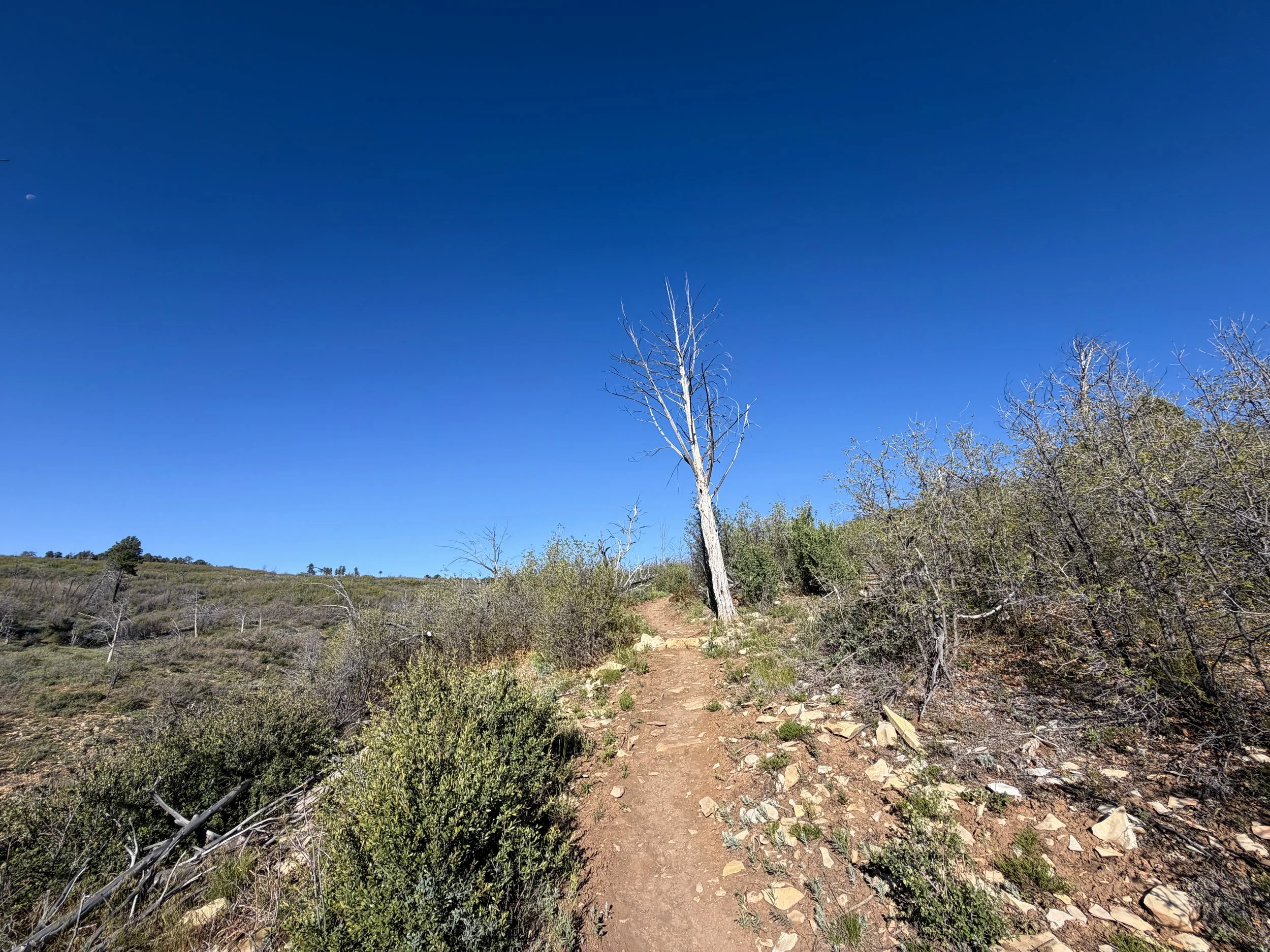 Deertrap Mountain Hike Zion National Park Utah