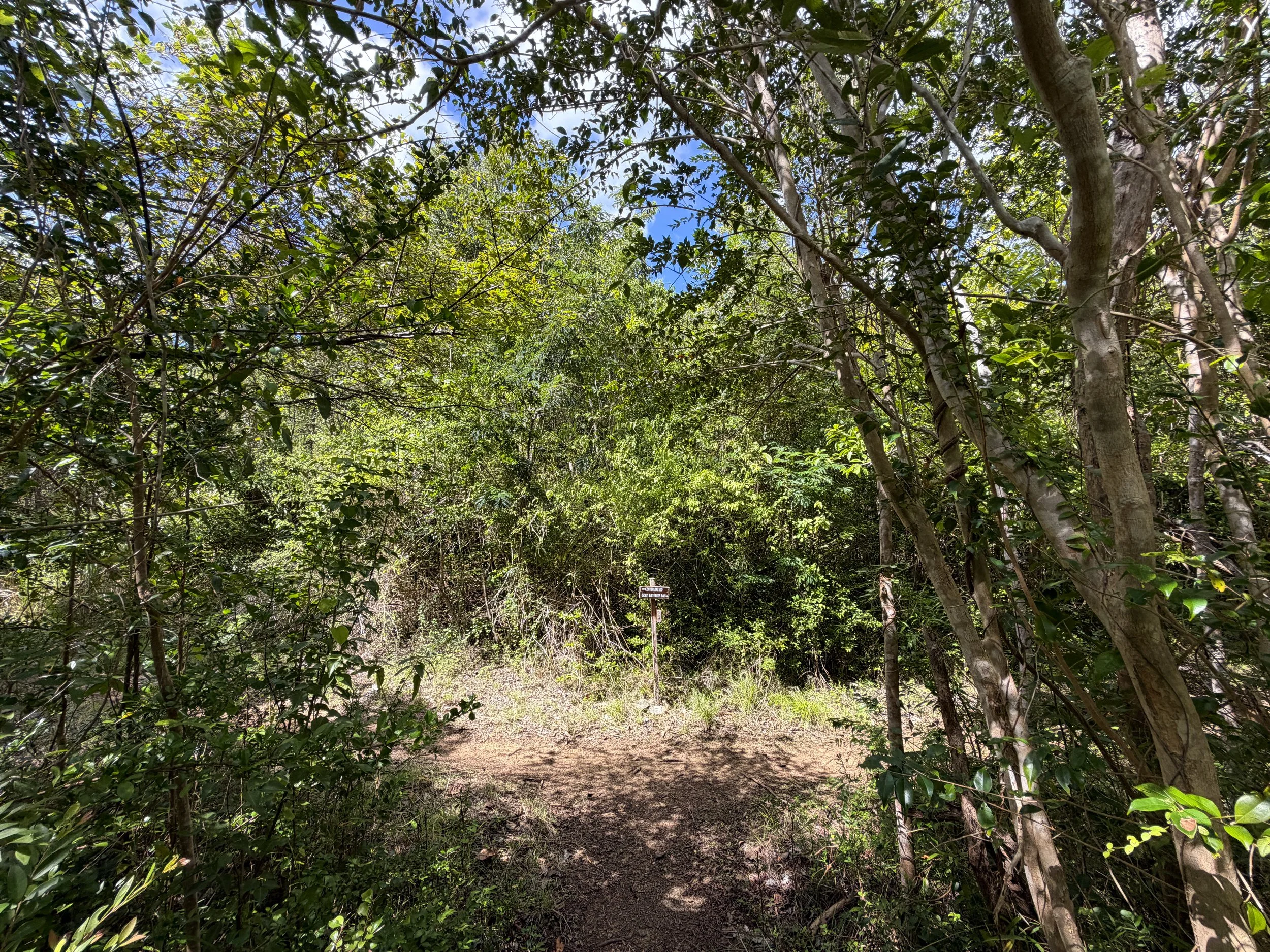 Great Sieben Trail Virgin Islands National Park