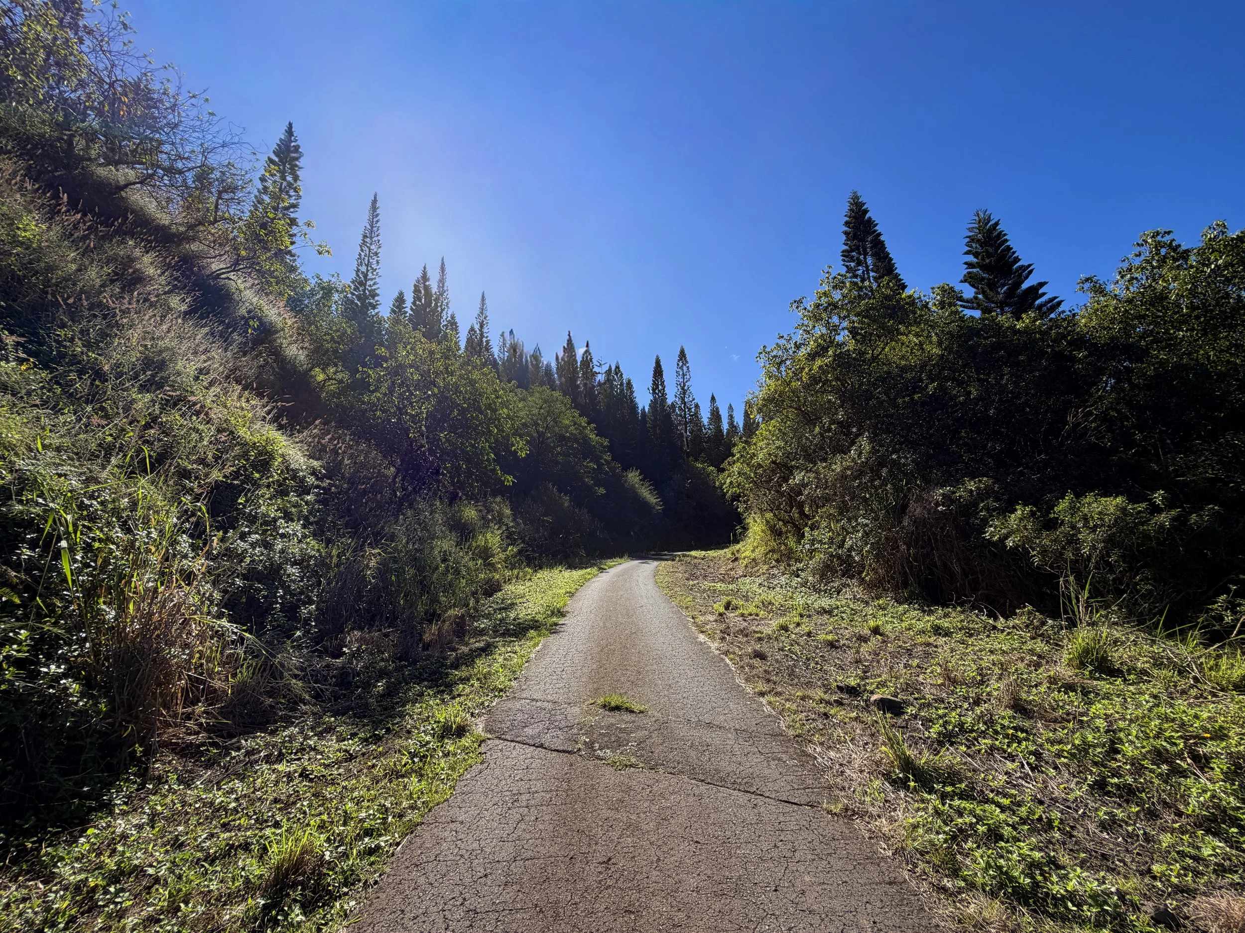 Mokuleia Access Road to Peacock Flats Oahu Hawaii