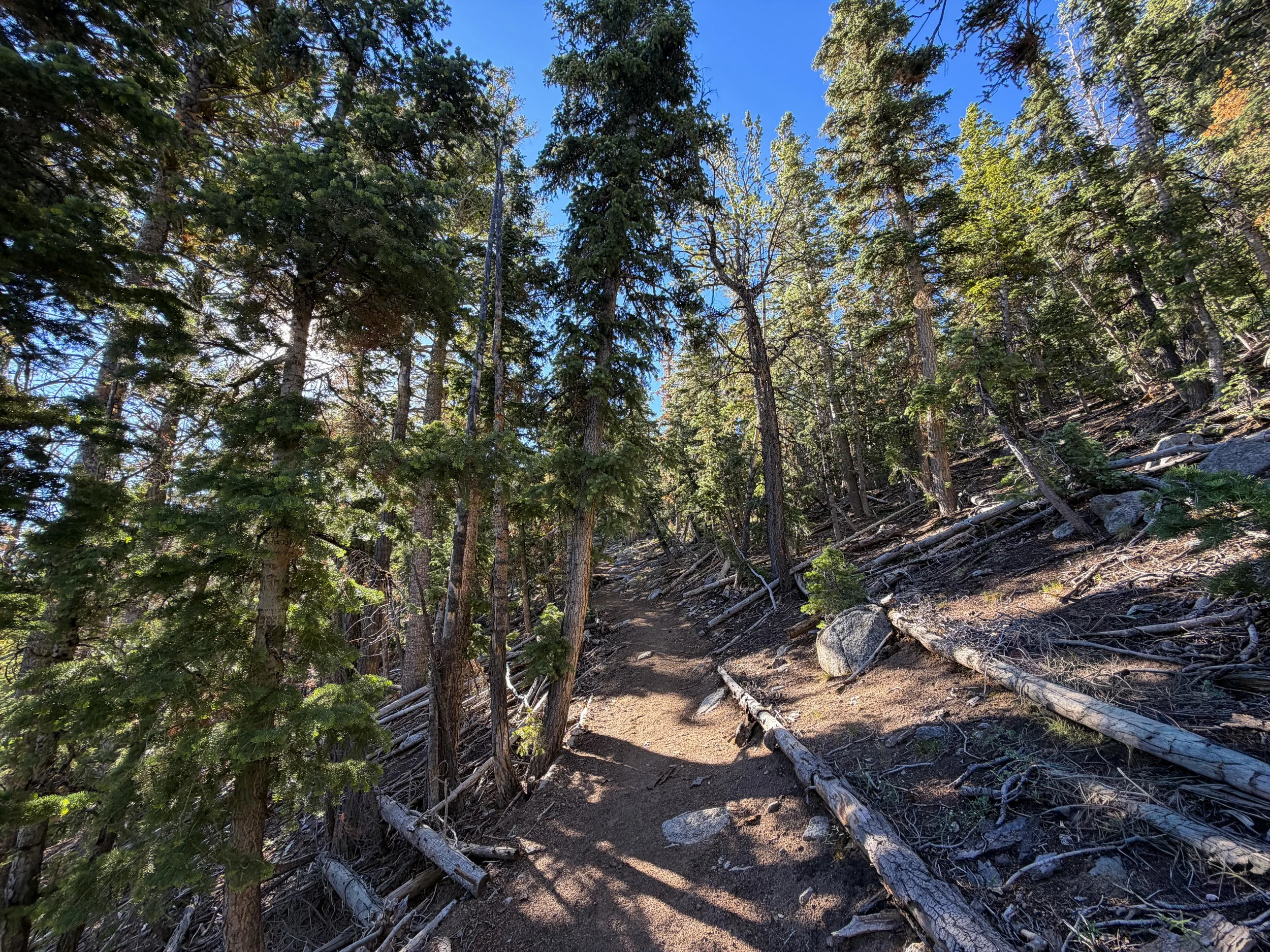 Snake Divide Trail Great Basin National Park Nevada
