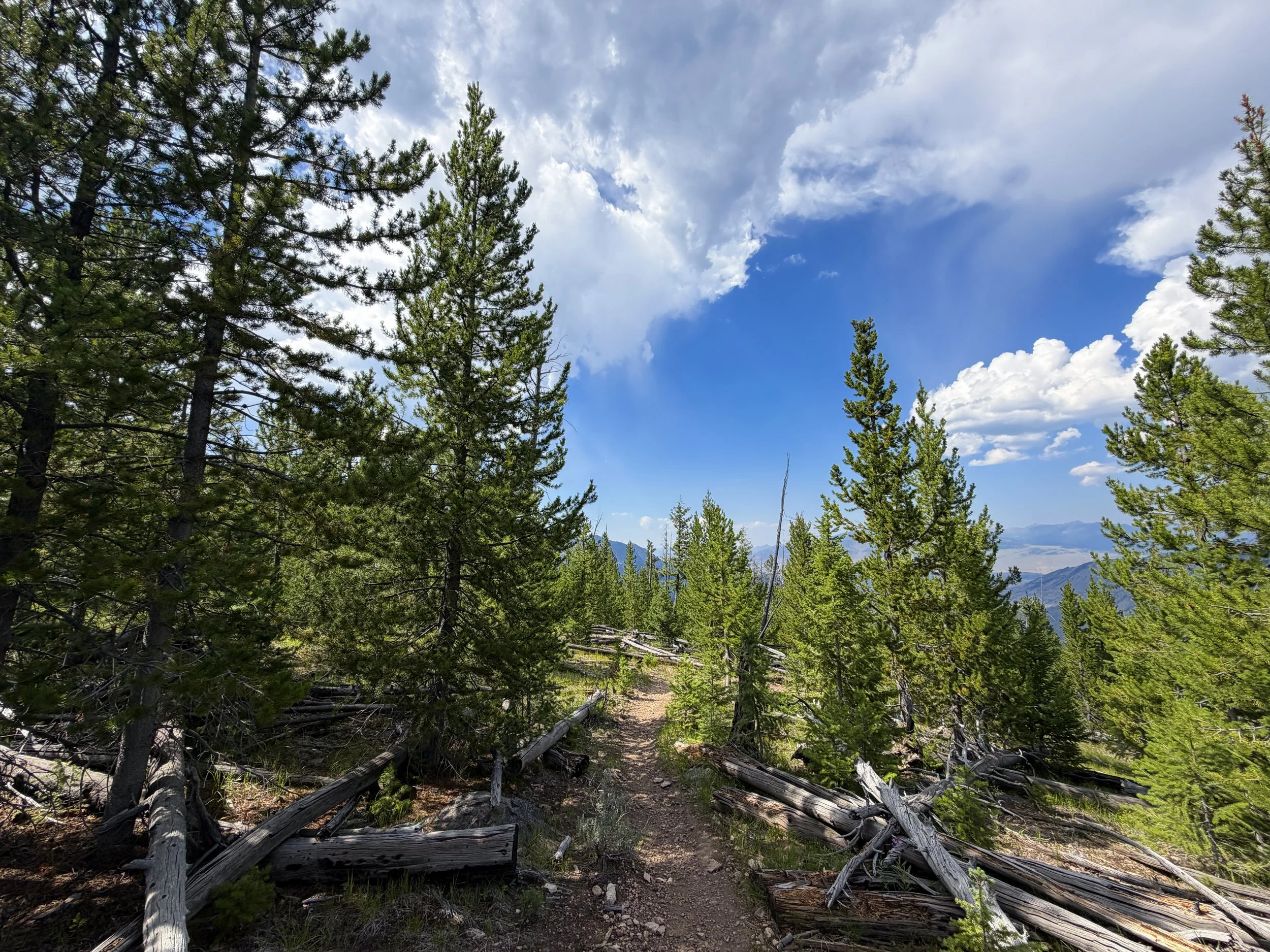 Bunsen Peak Trail Yellowstone National Park Wyoming