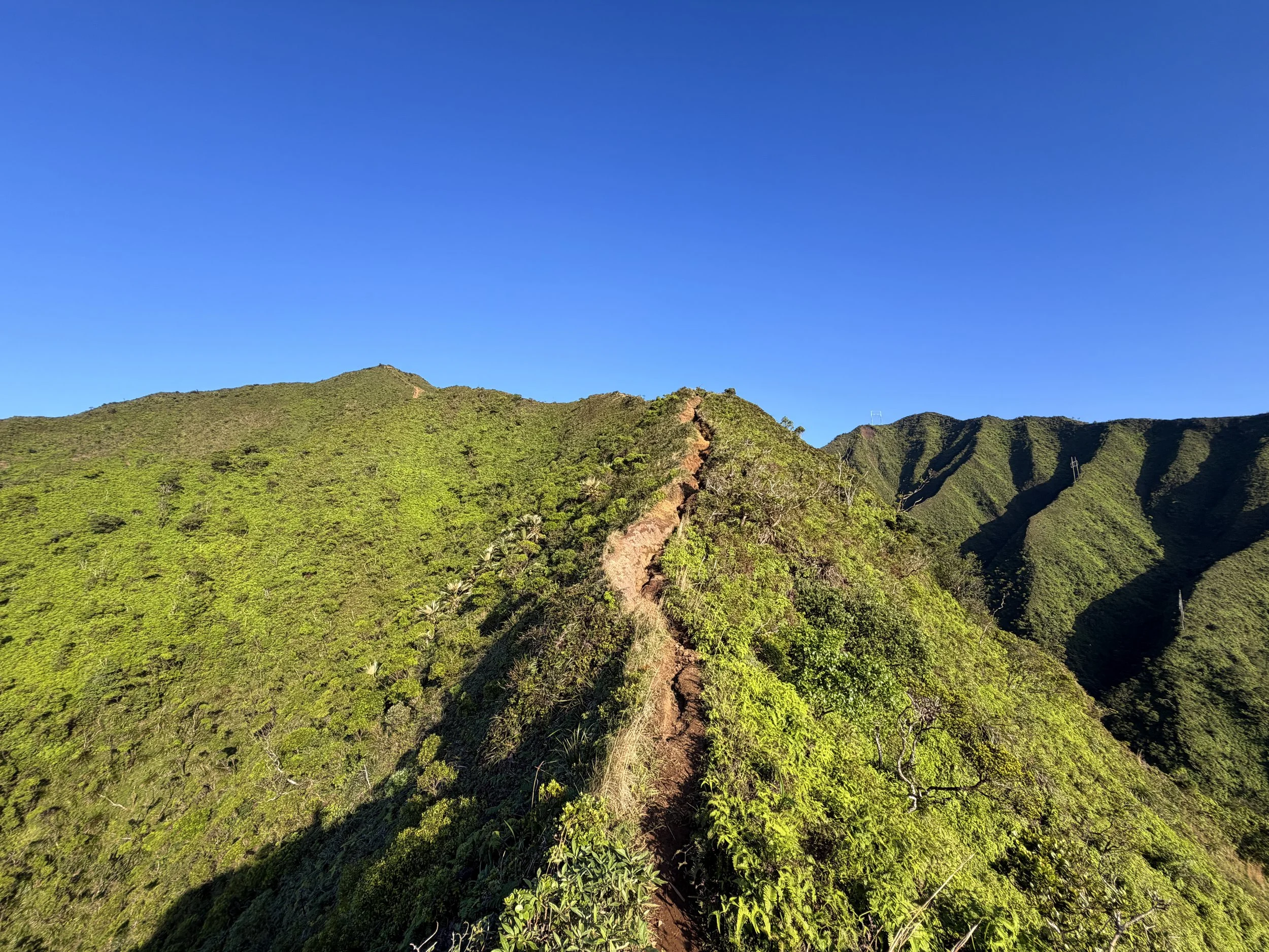 Moanalua Middle Ridge Trail Back Way to the Stairway to Heaven Oahu Hawaii