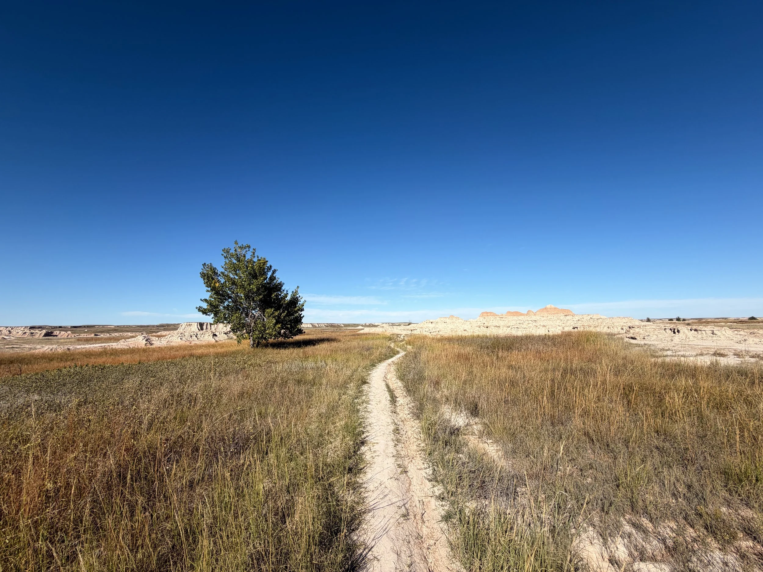 Medicine Root Trail Badlands National Park South Dakota