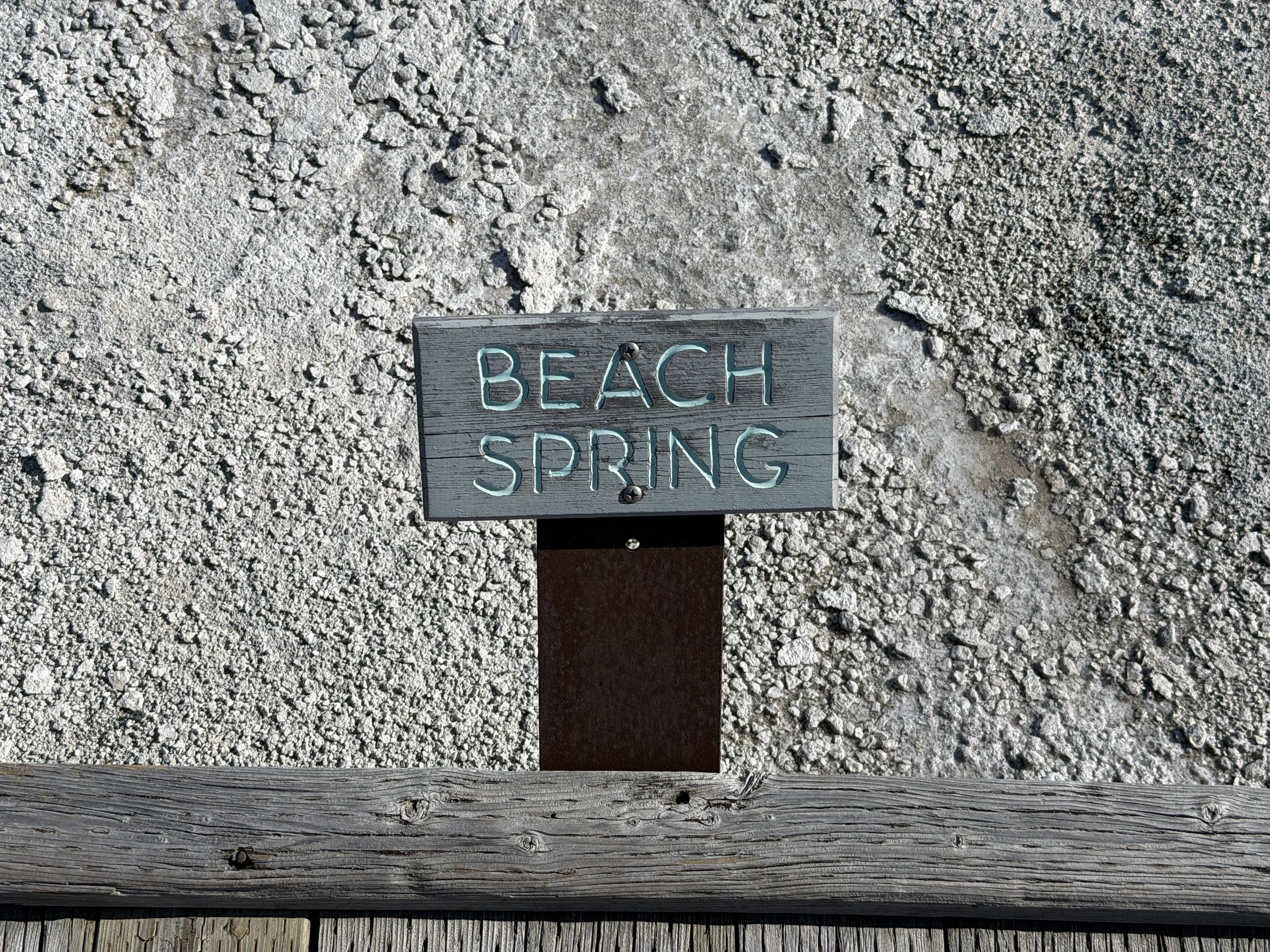 Beach Spring Yellowstone National Park Wyoming