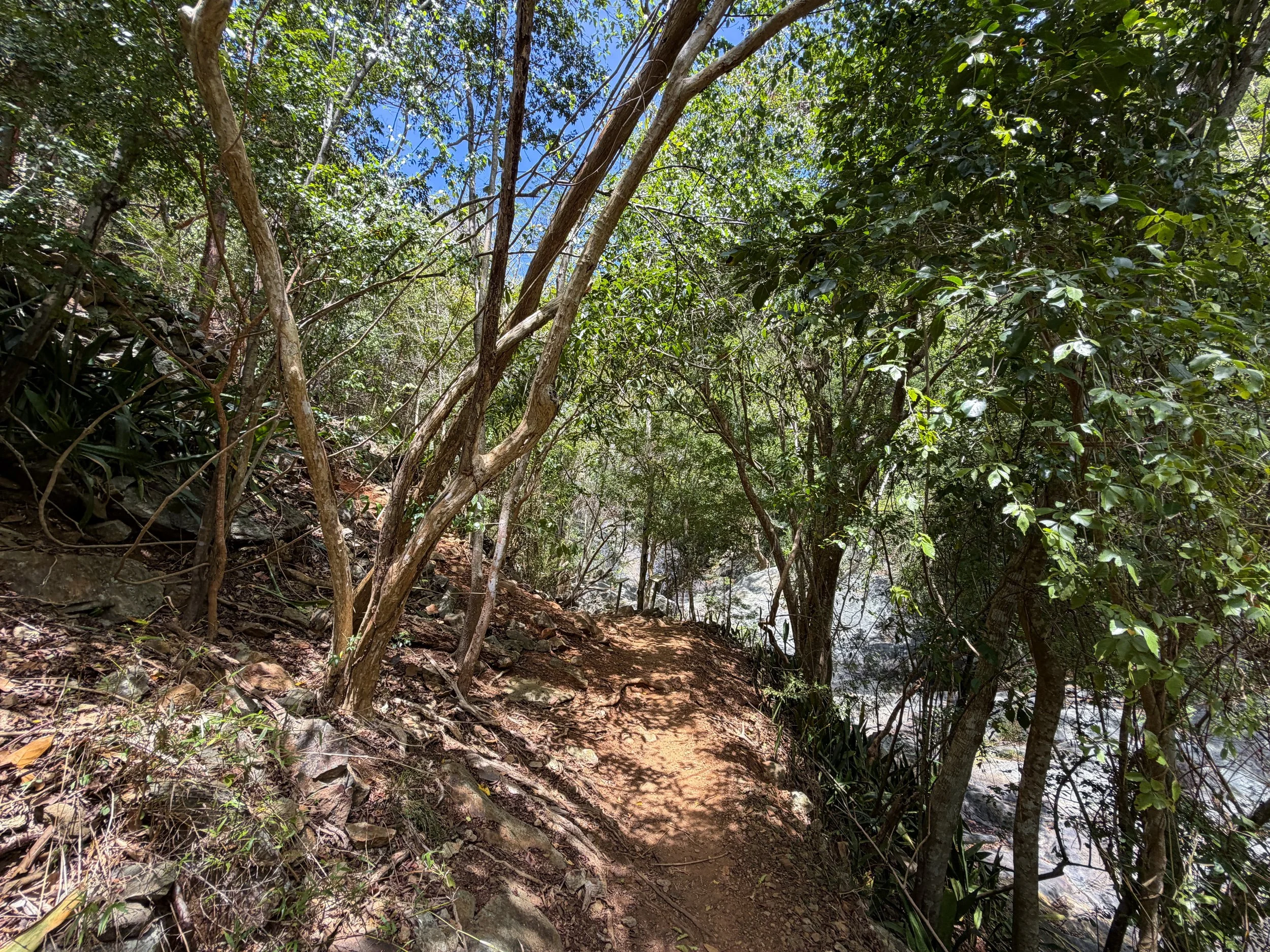 Petroglyph Trail Virgin Islands National Park