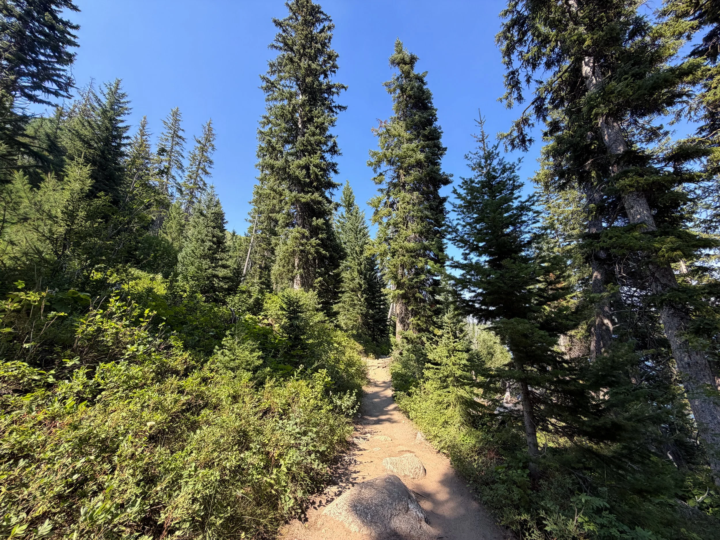 Jenny Lake Loop Trail Grand Teton National Park Wyoming