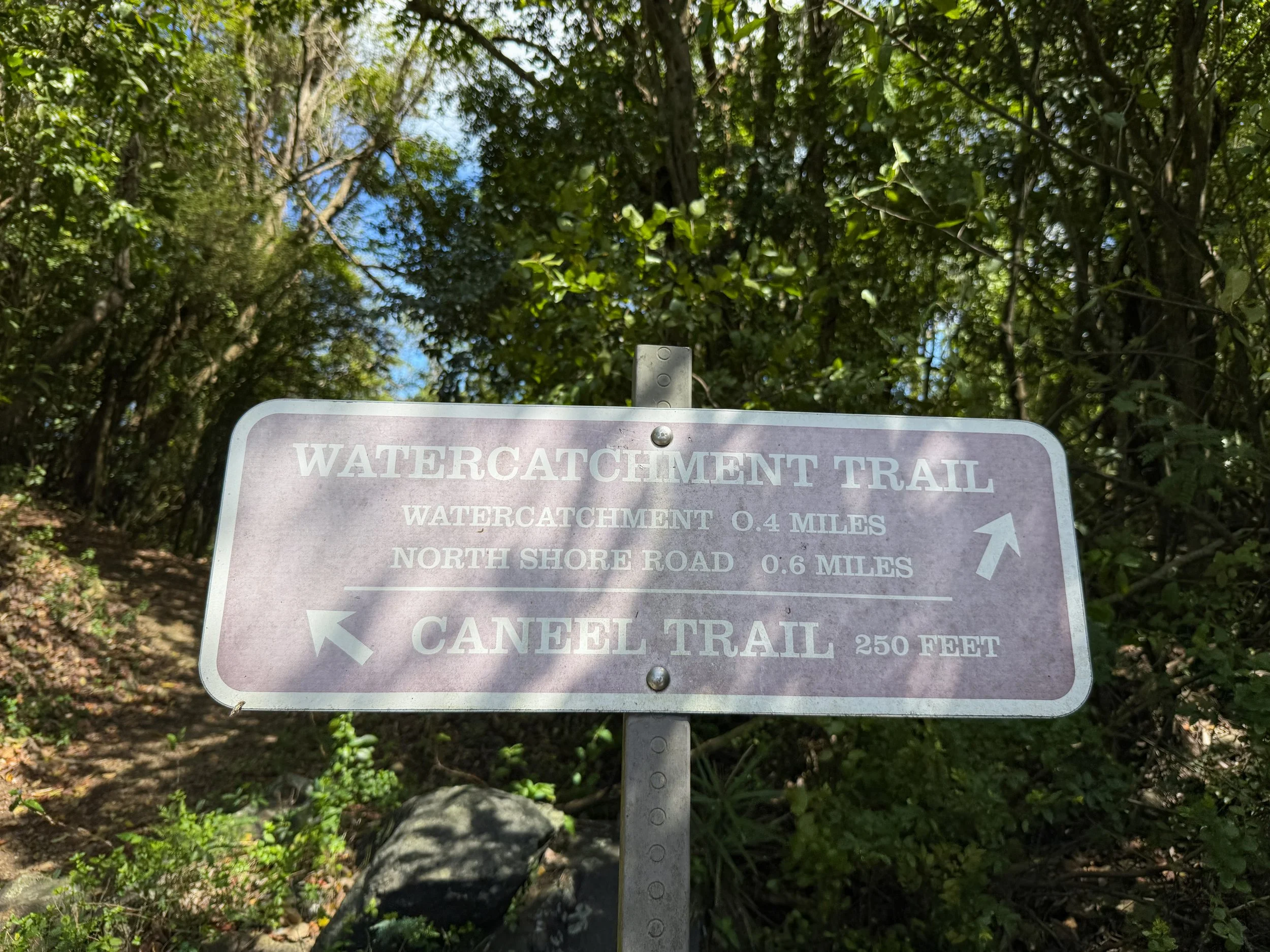 Water Catchment Trailhead Virgin Islands National Park