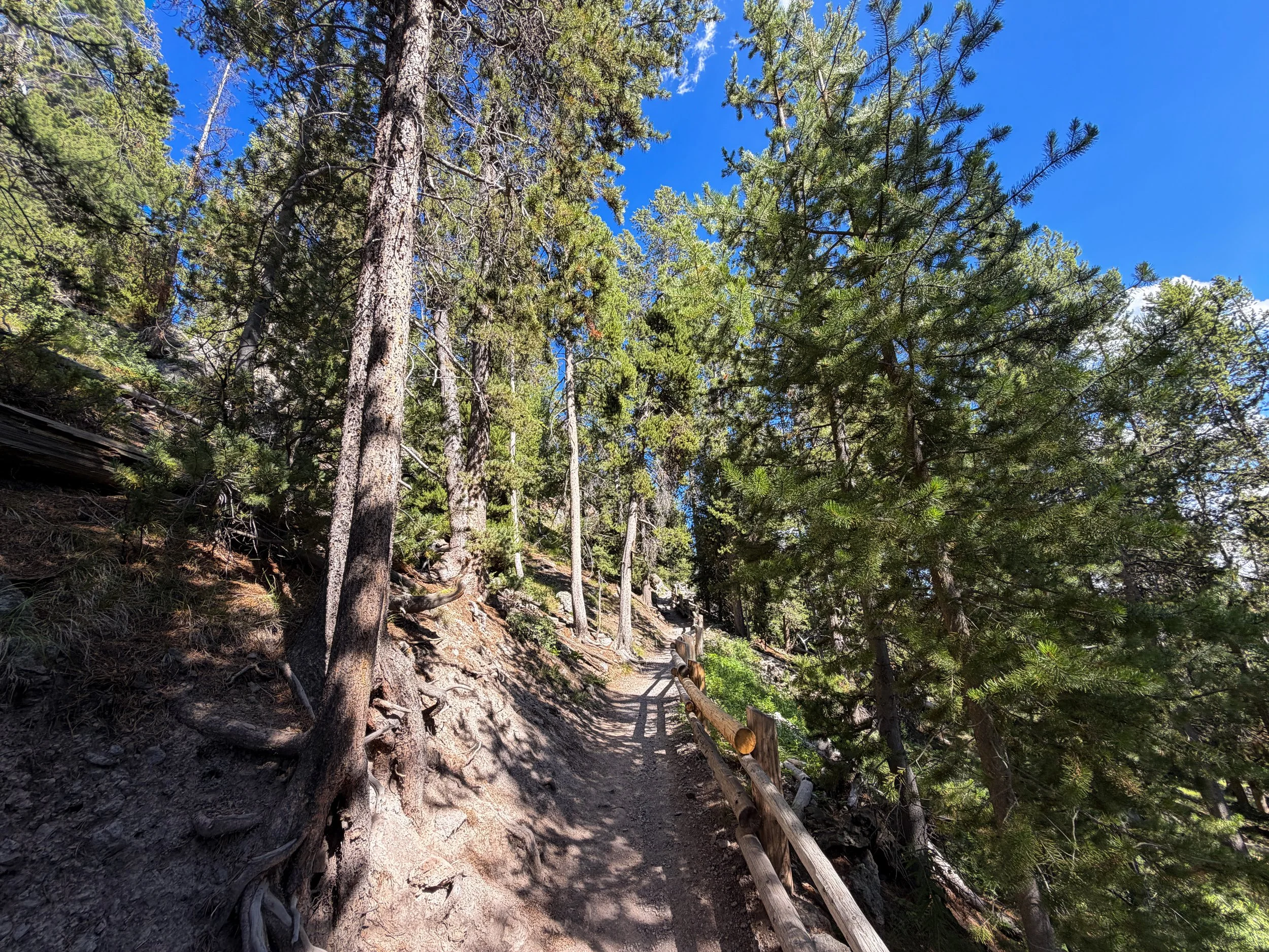 Observation Point Hike Yellowstone National Park Wyoming