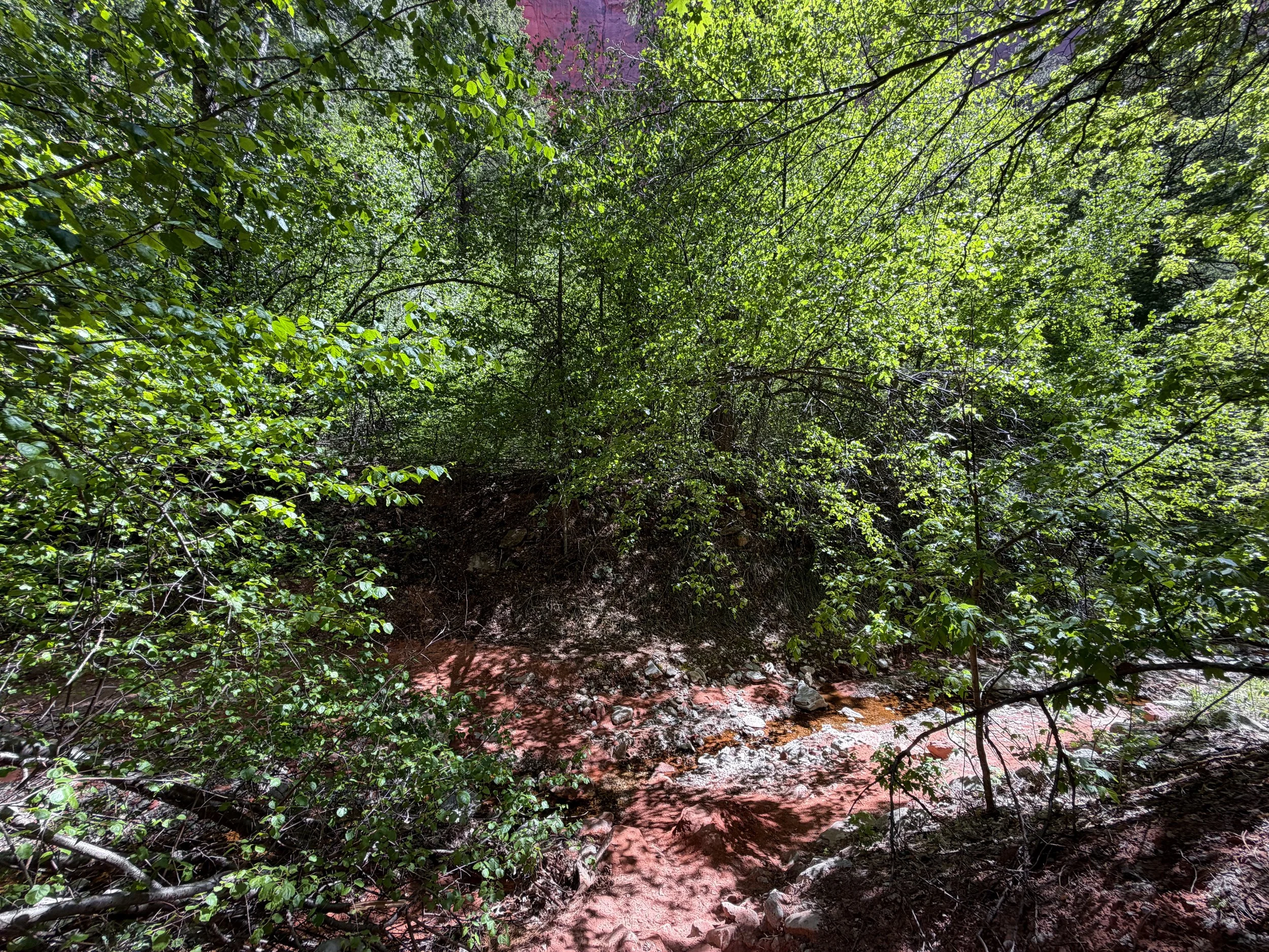 Middle Taylor Creek Trail Zion National Park Utah