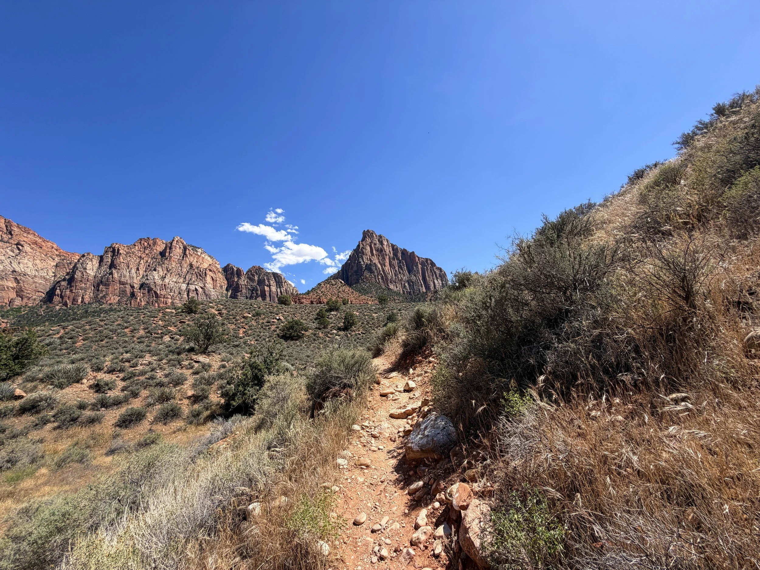 Archaeology Trail Zion National Park Utah