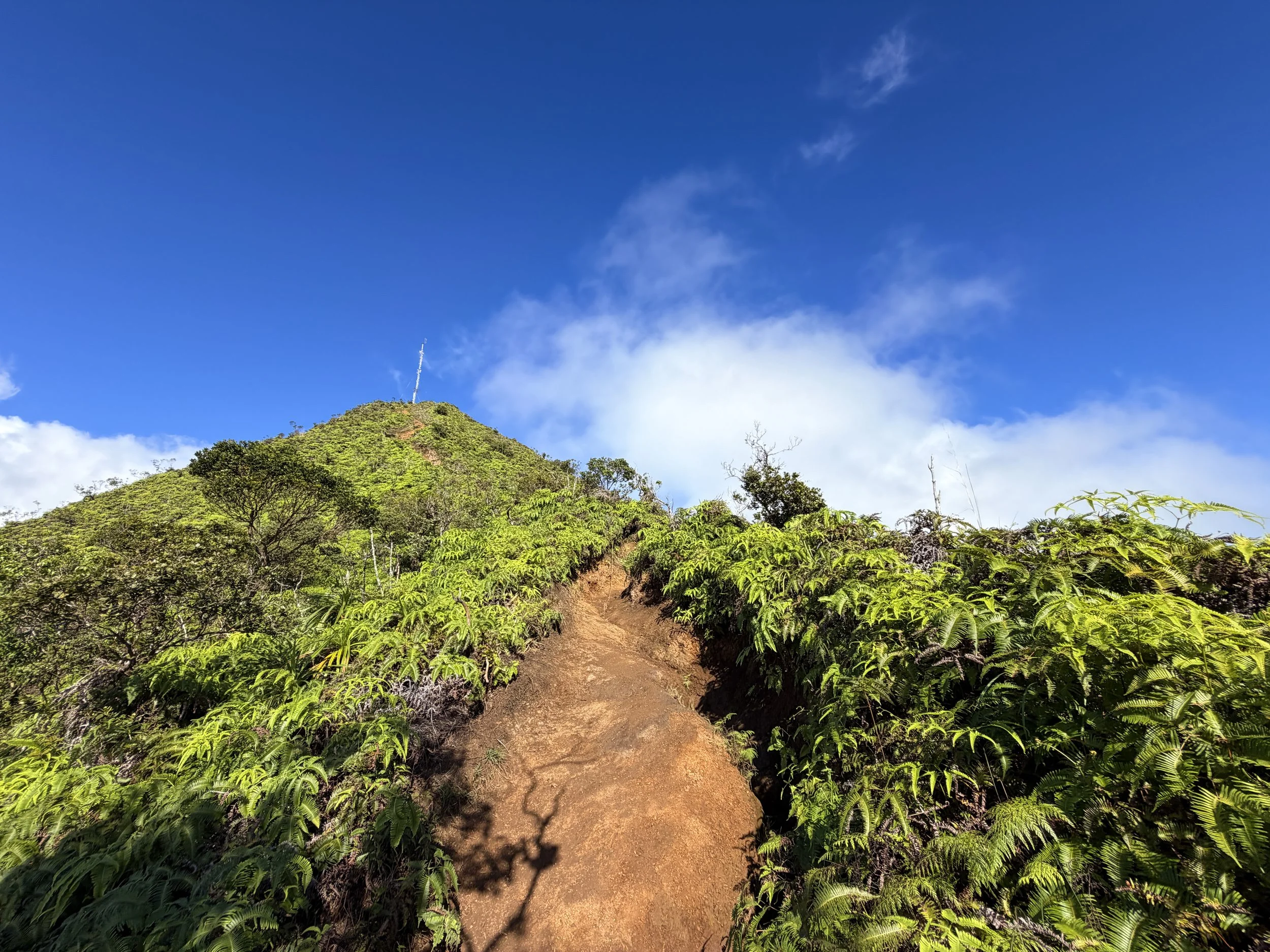 Wiliwilinui Ridge Trail Stairs Oahu Hawaii