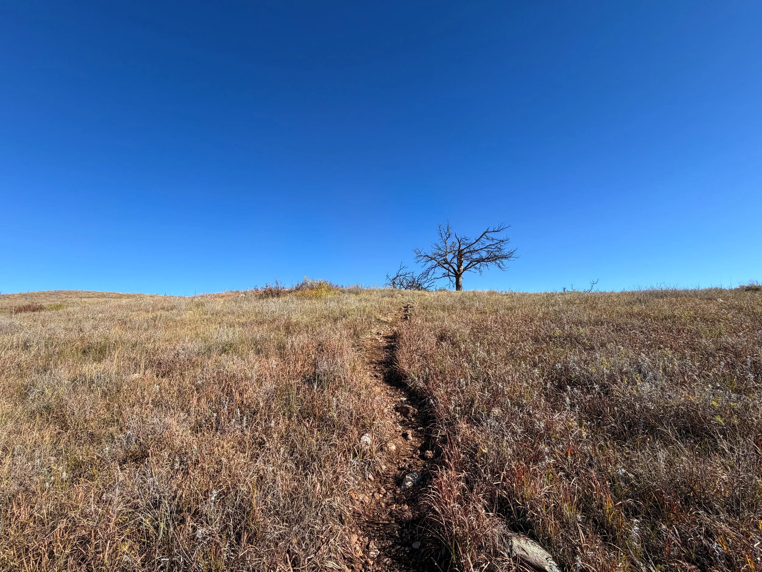 Prairie Vista Trail Wind Cave National Park South Dakota