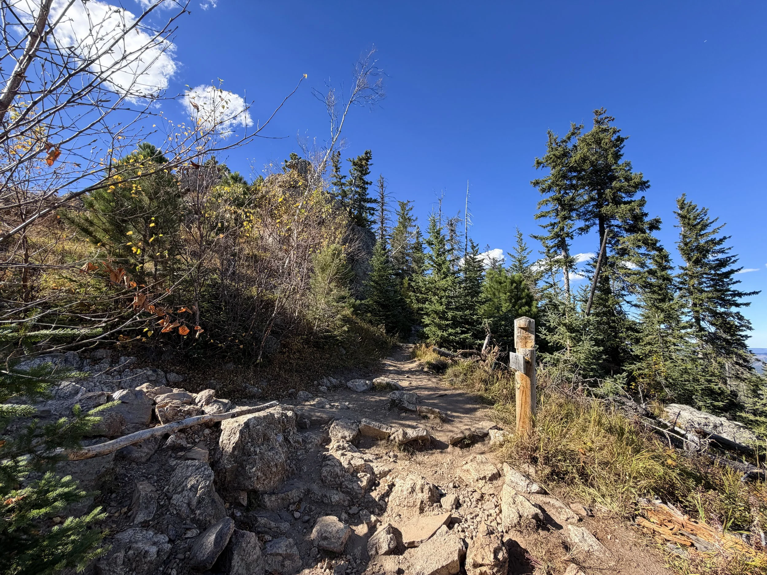 Black Elk Peak Trail Black Hills South Dakota
