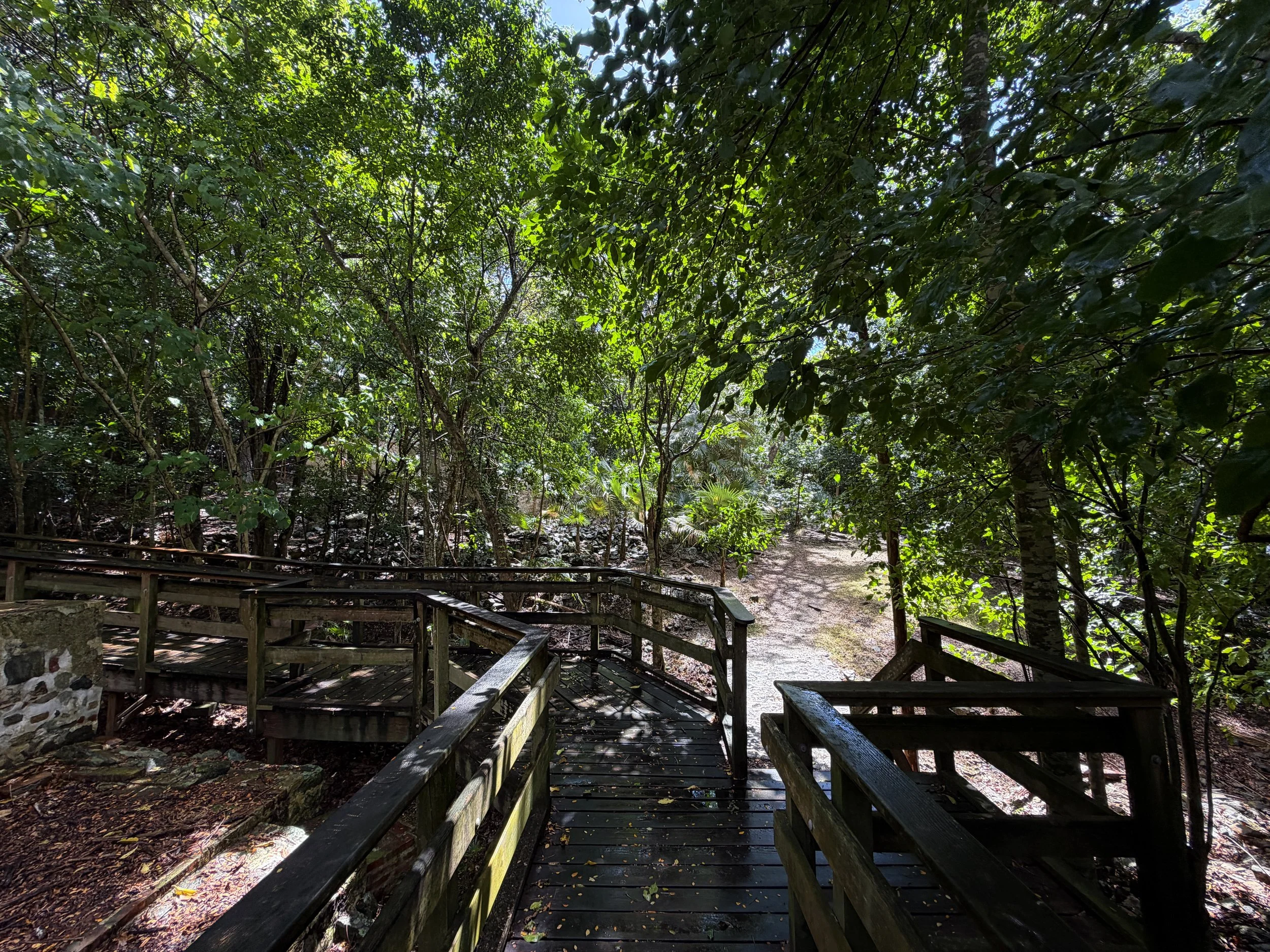 Cinnamon Bay Loop Trail Virgin Islands National Park