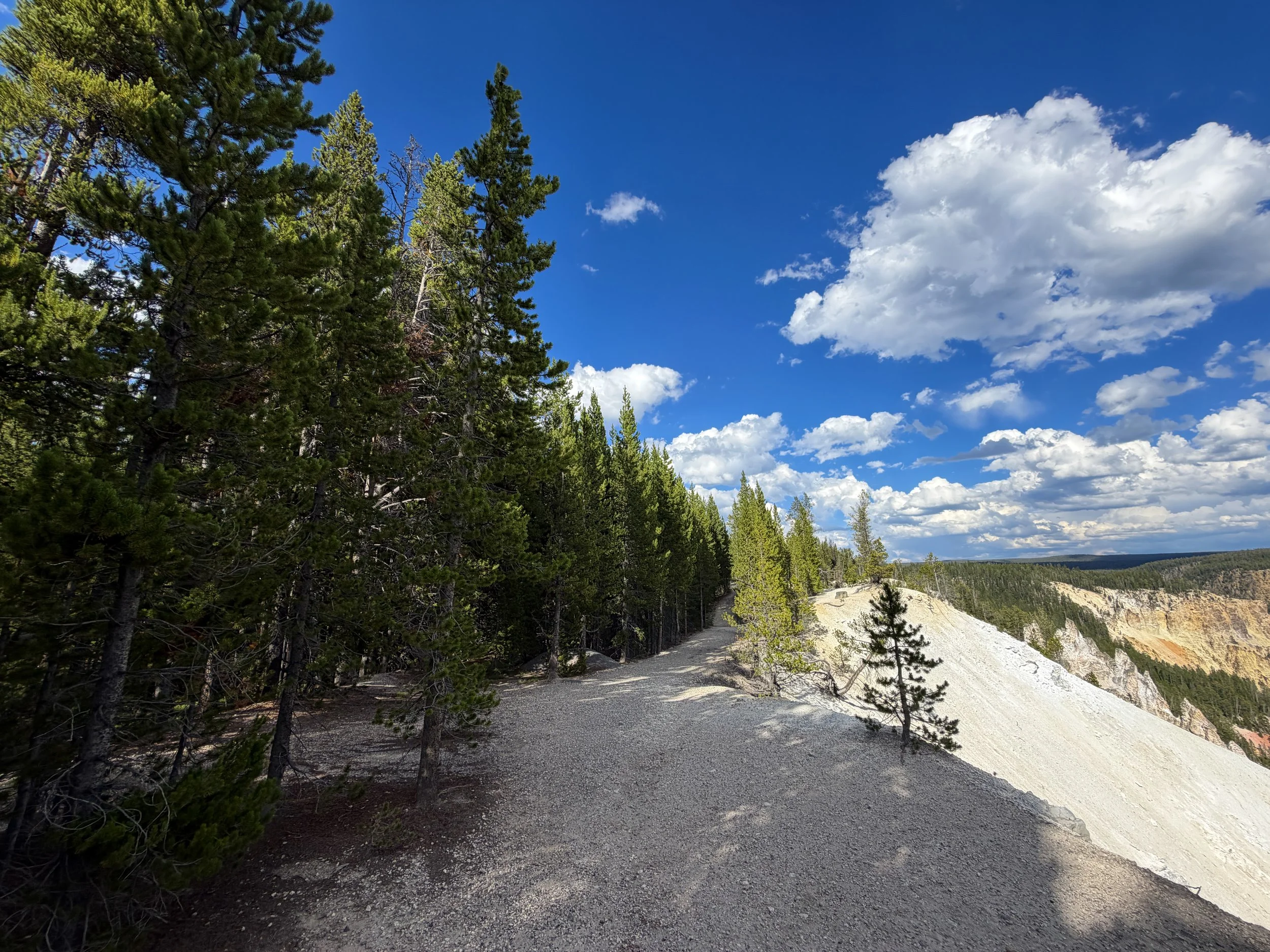 North Rim Trail Yellowstone National Park Wyoming