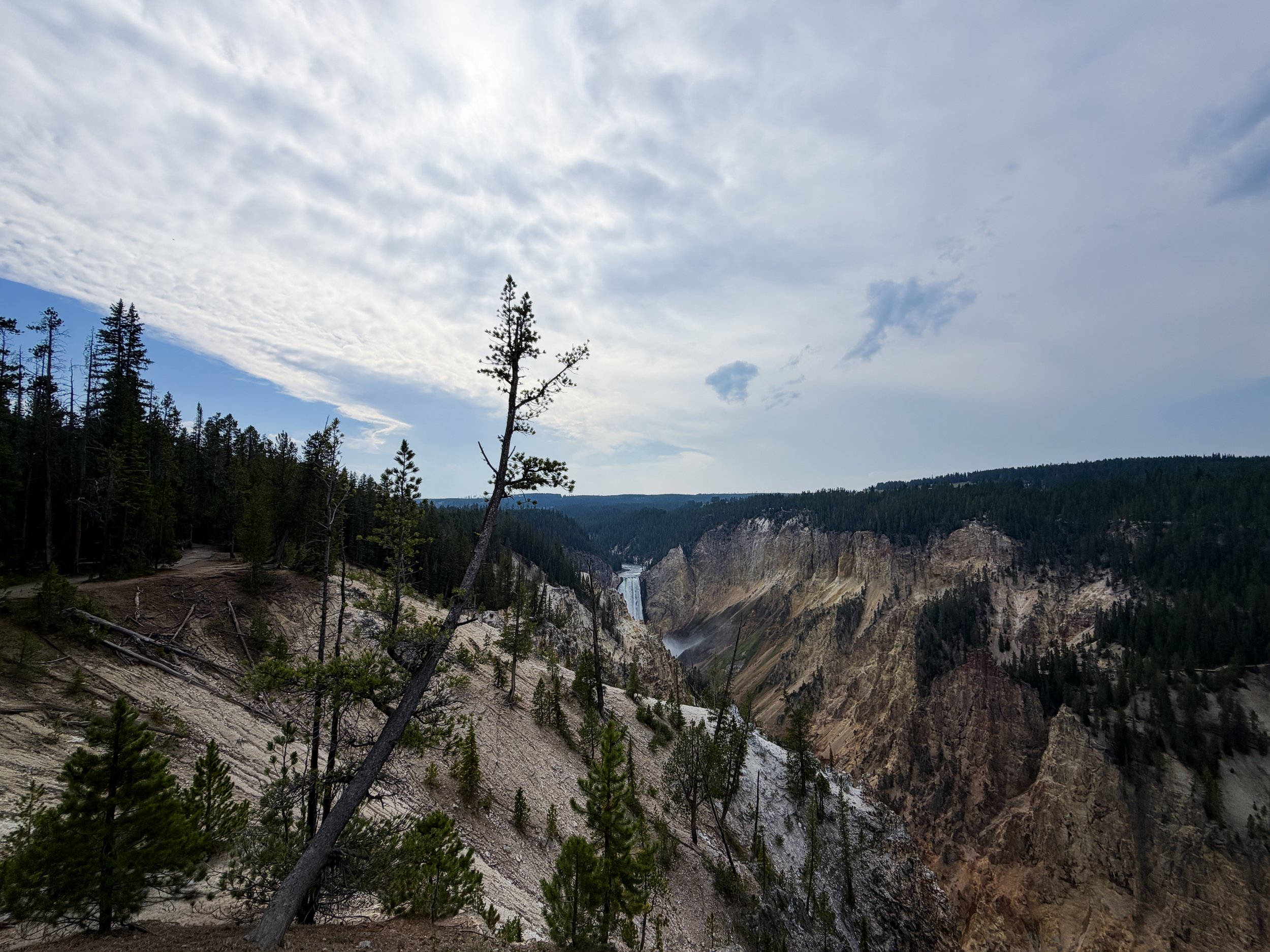 Lower Yellowstone Falls South Rim Trail Yellowstone National Park Wyoming