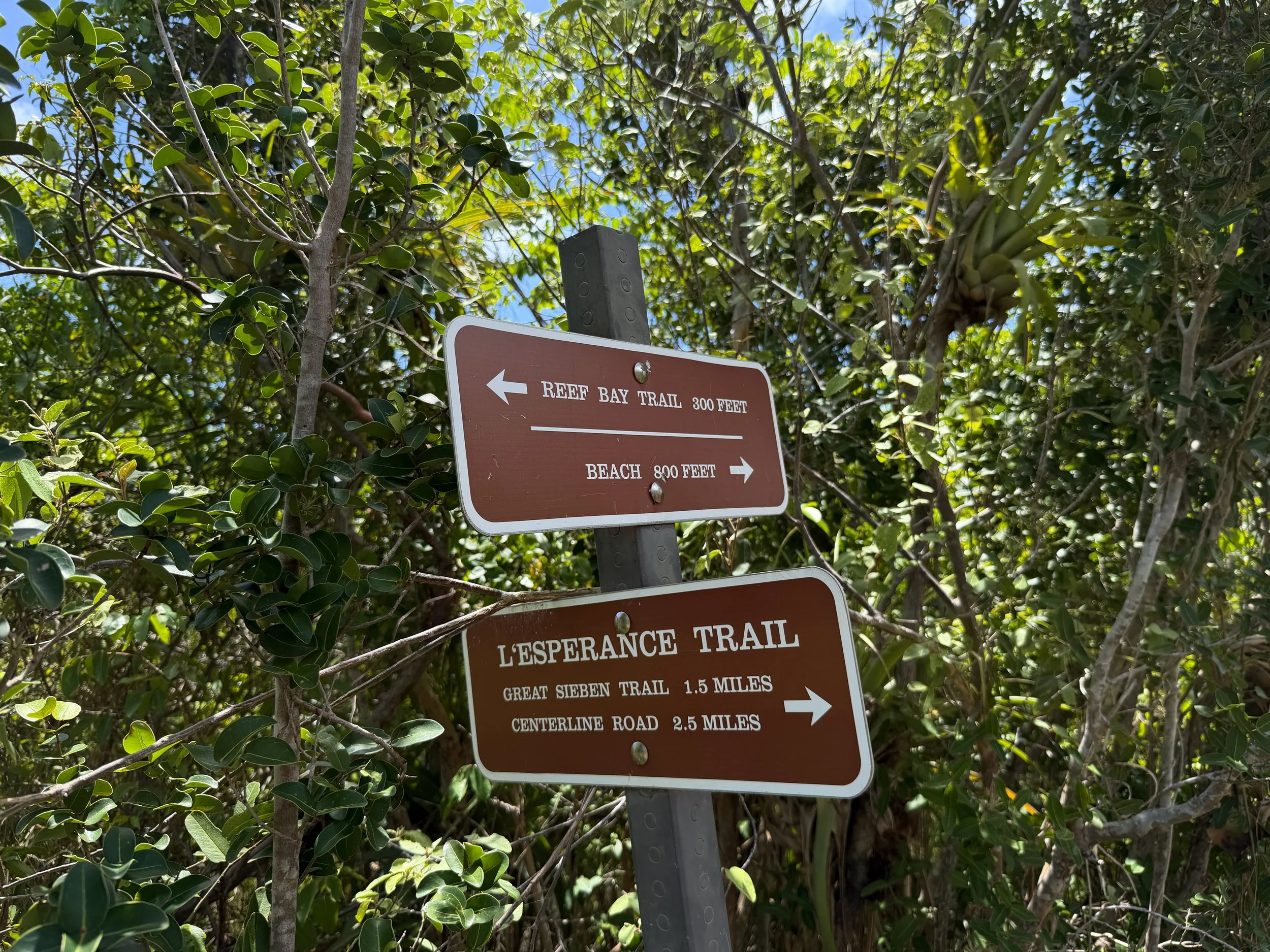 L'Esperance Trail Virgin Islands National Park