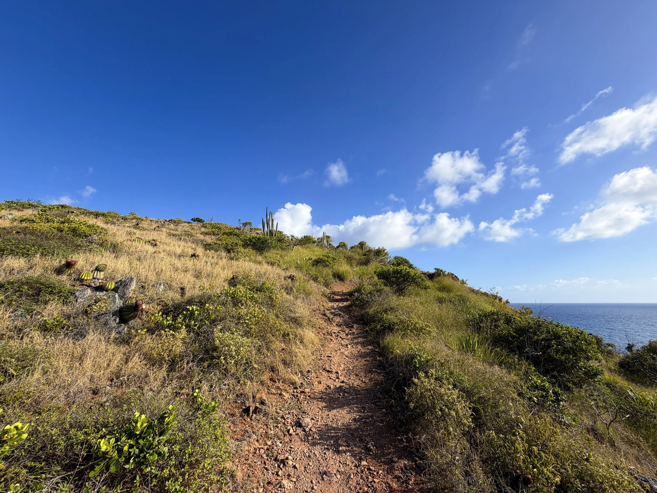 Ram Head Trail Virgin Islands National Park