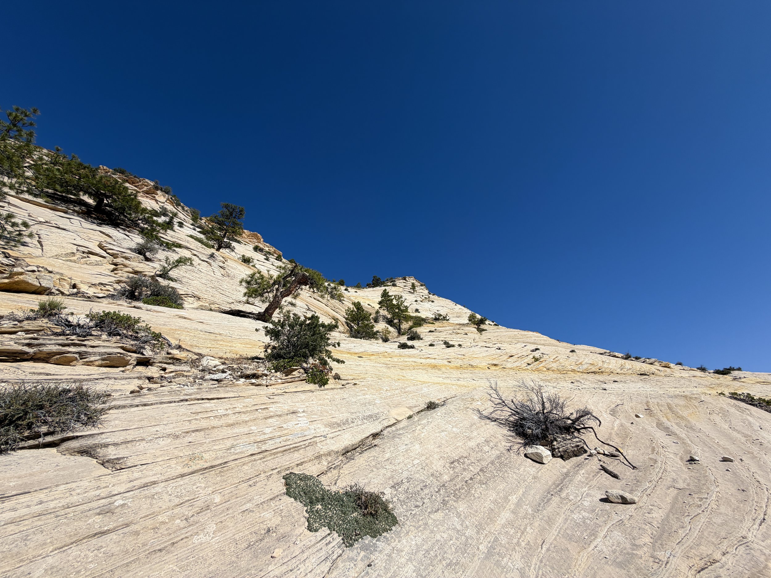 South Ariel Peak Trail Zion National Park Utah