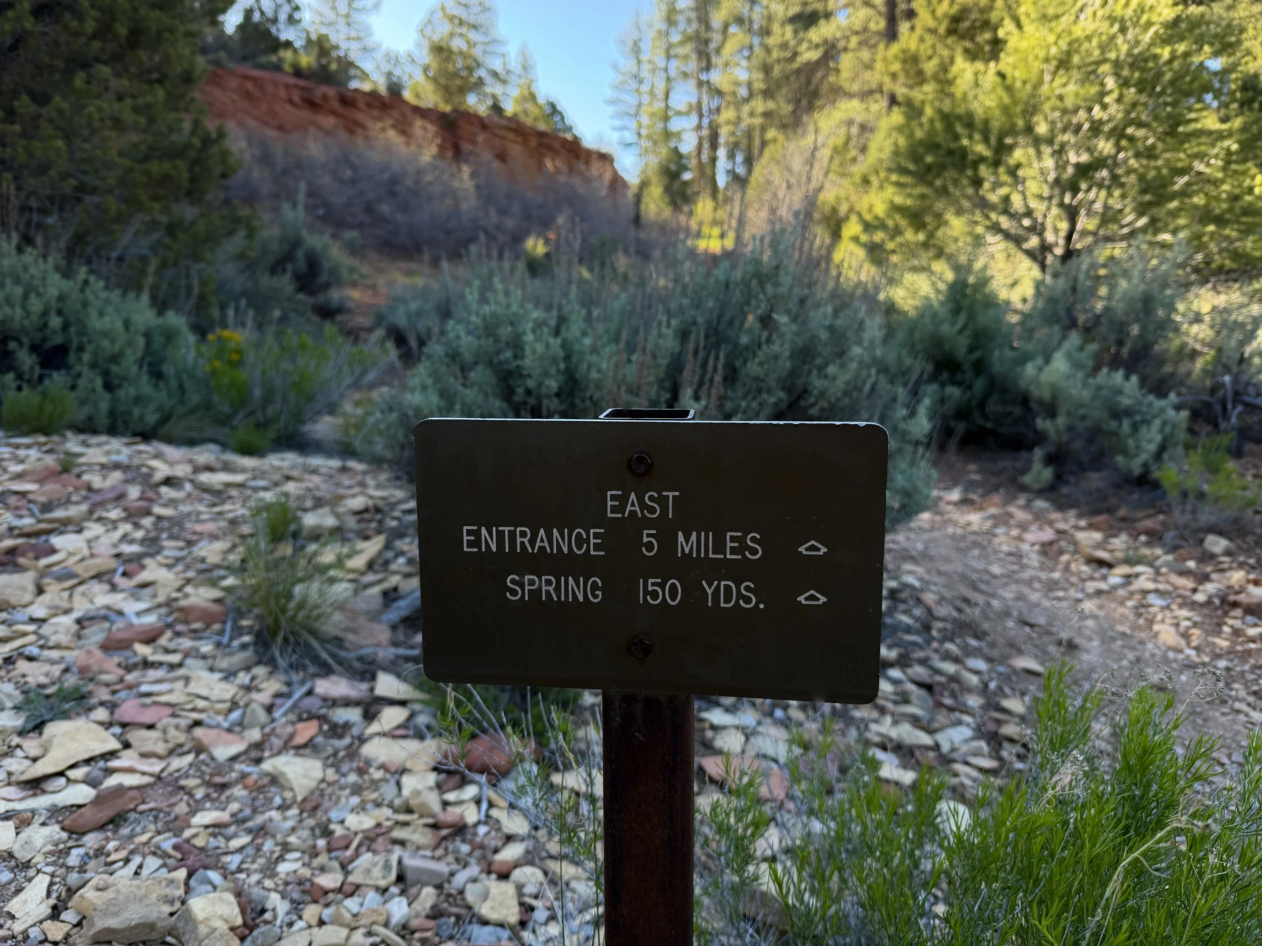 Deertrap Mountain Trail via East Rim Zion National Park Utah