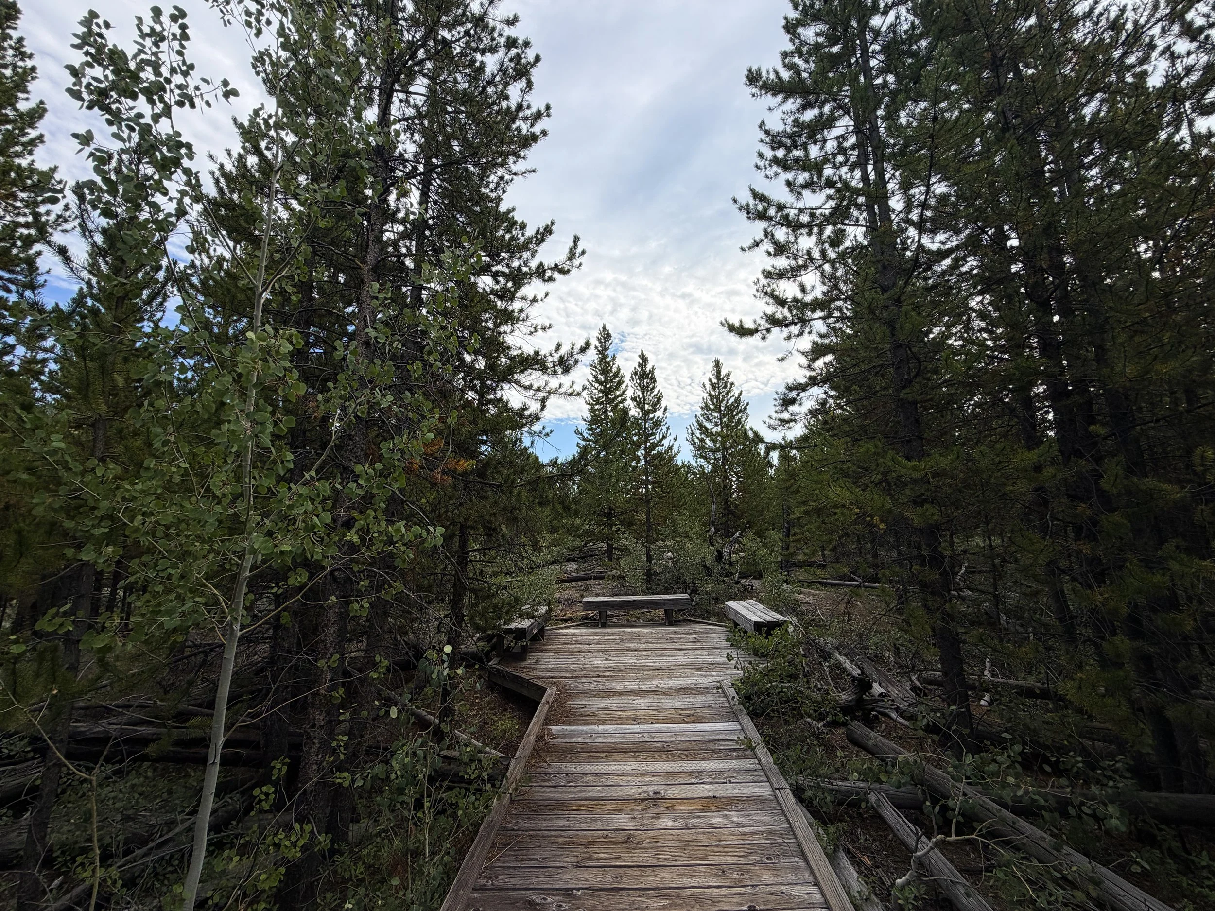 Forces of the Northern Range Boardwalk Trail Yellowstone National Park Wyoming